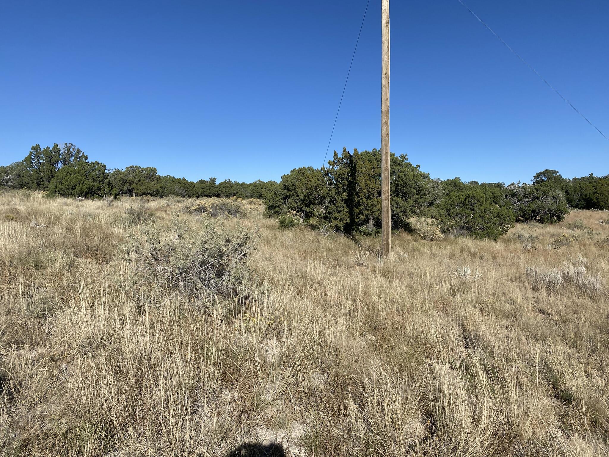 Painted Horse Drive, Mountainair, New Mexico image 6