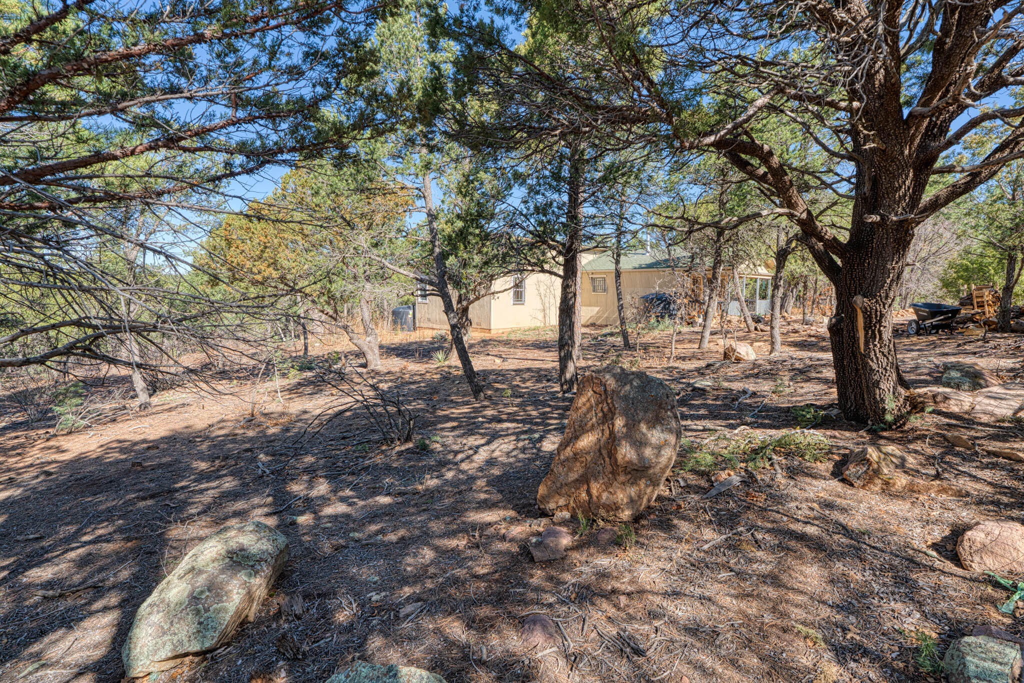 2 Swallow, Tijeras, New Mexico image 44