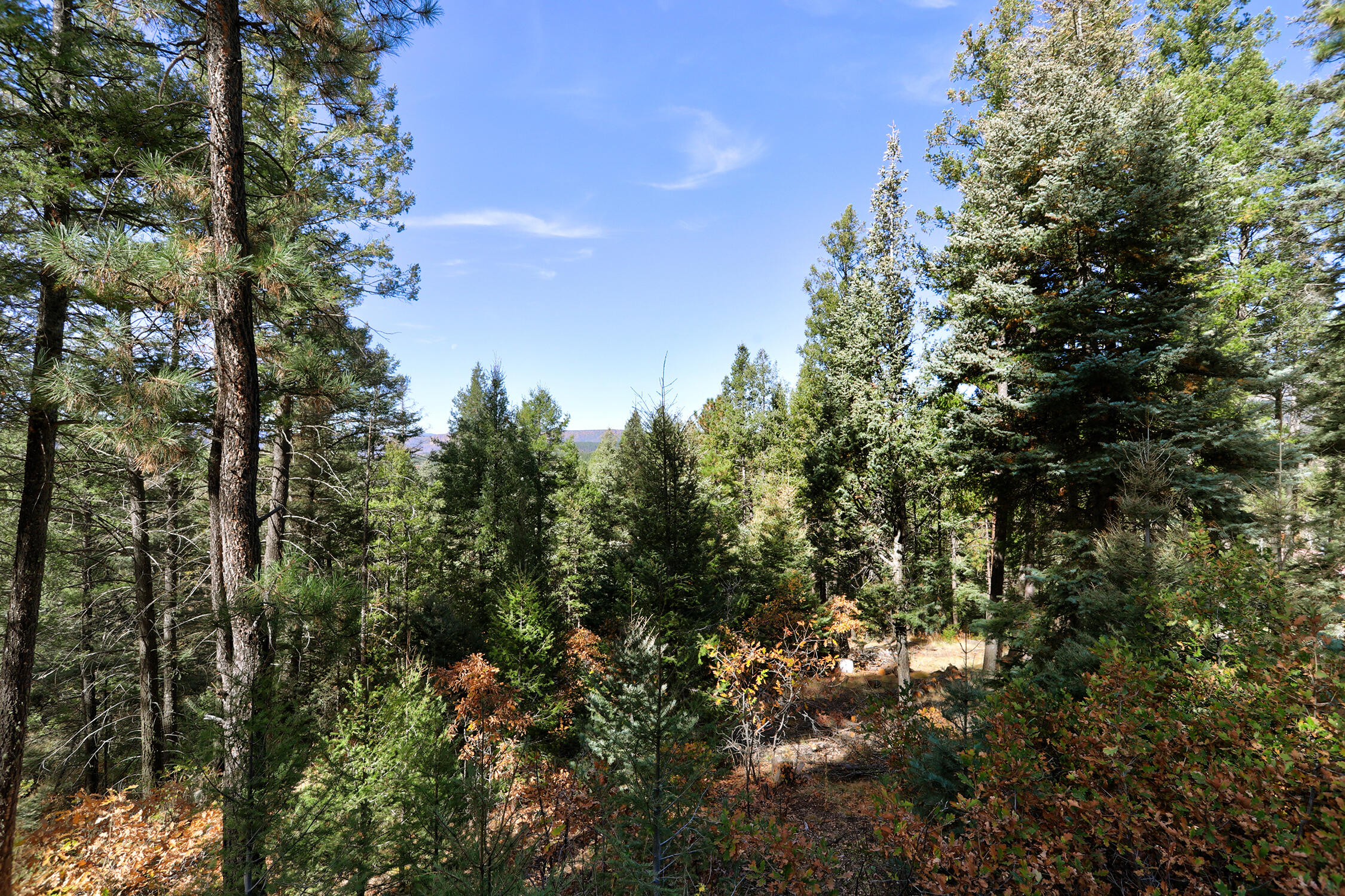 1341 Los Griegos Road, Jemez Springs, New Mexico image 27