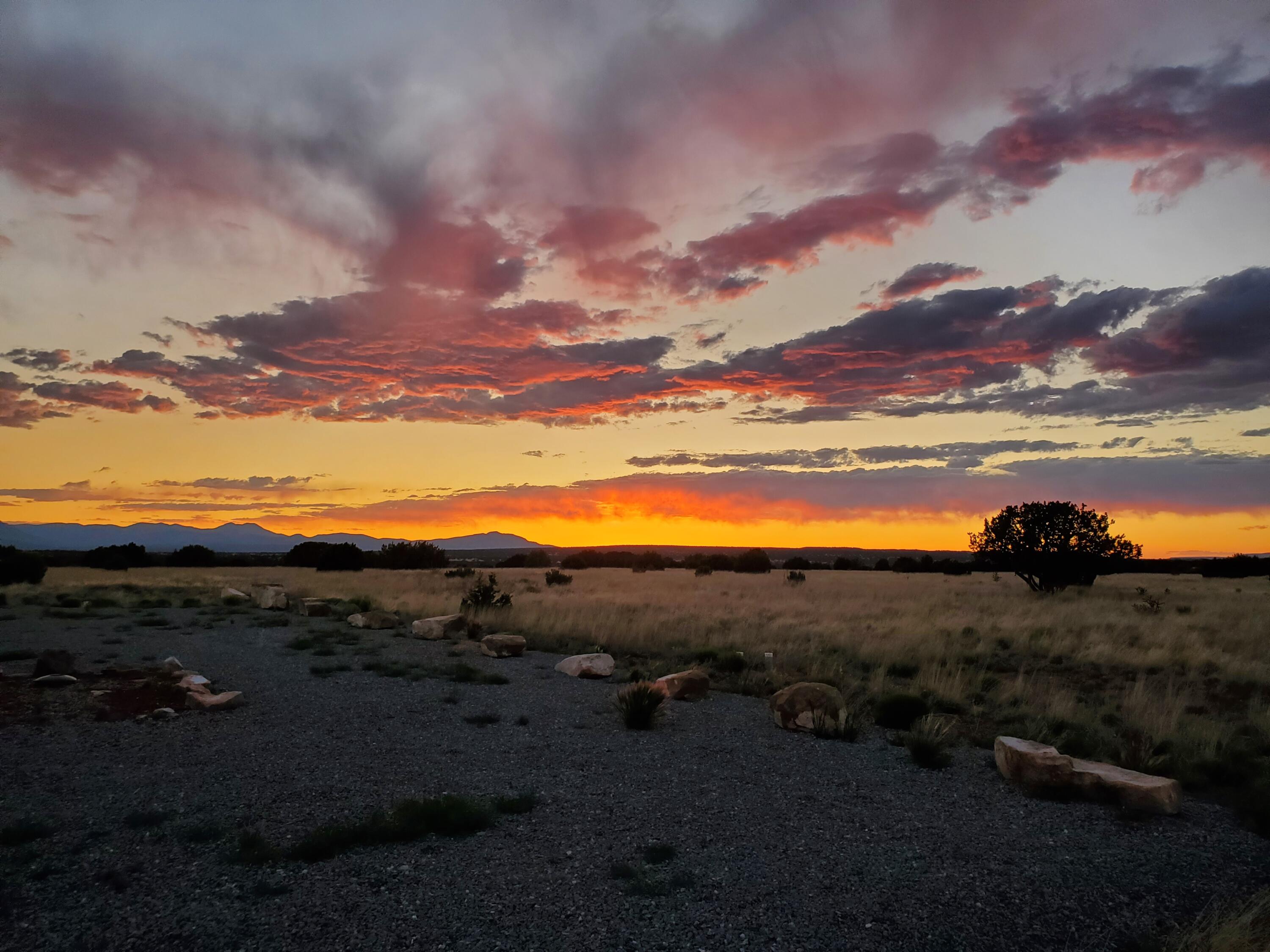 337 Scholle Road, Mountainair, New Mexico image 35