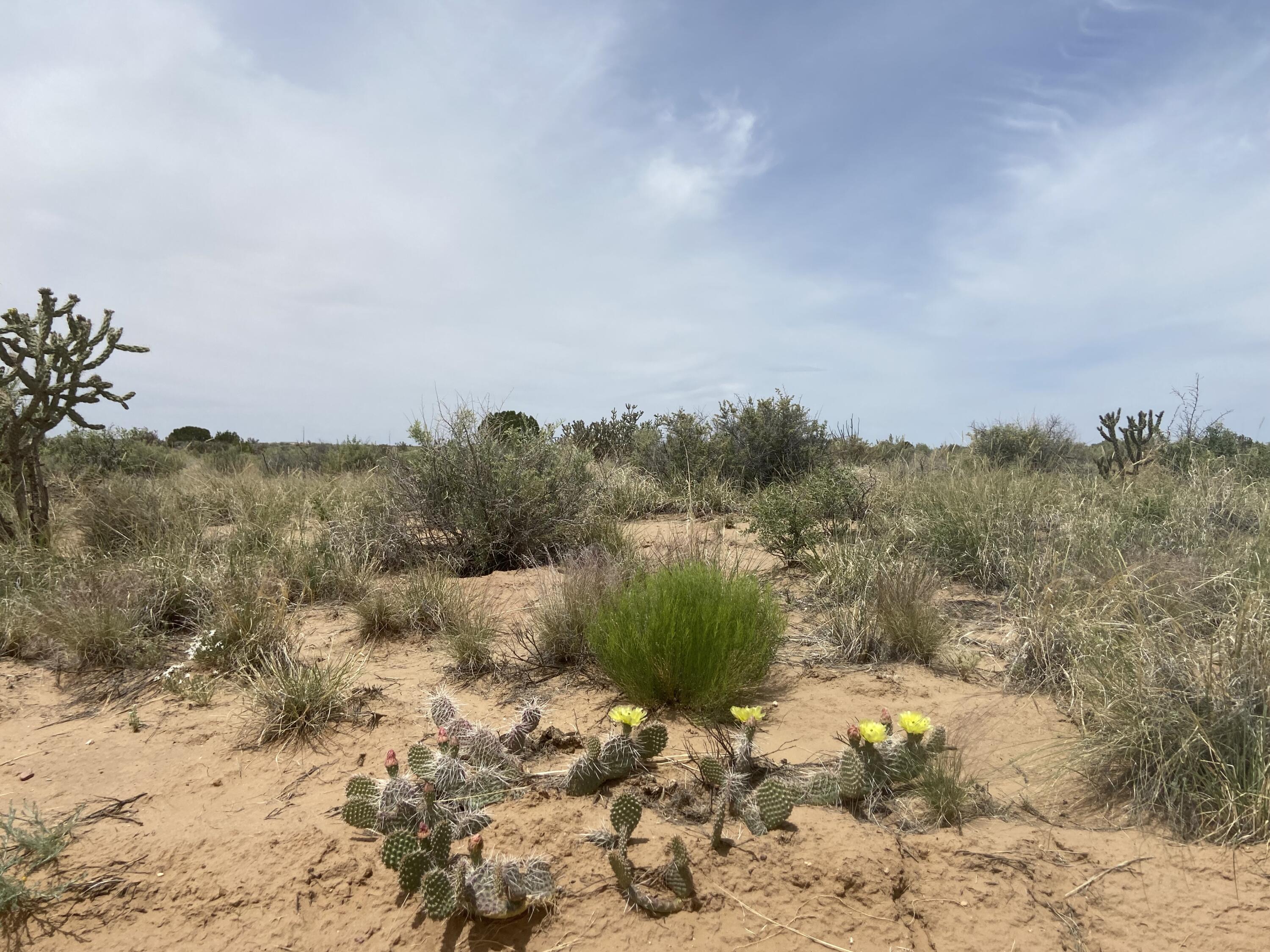 34th, Rio Rancho, New Mexico image 7