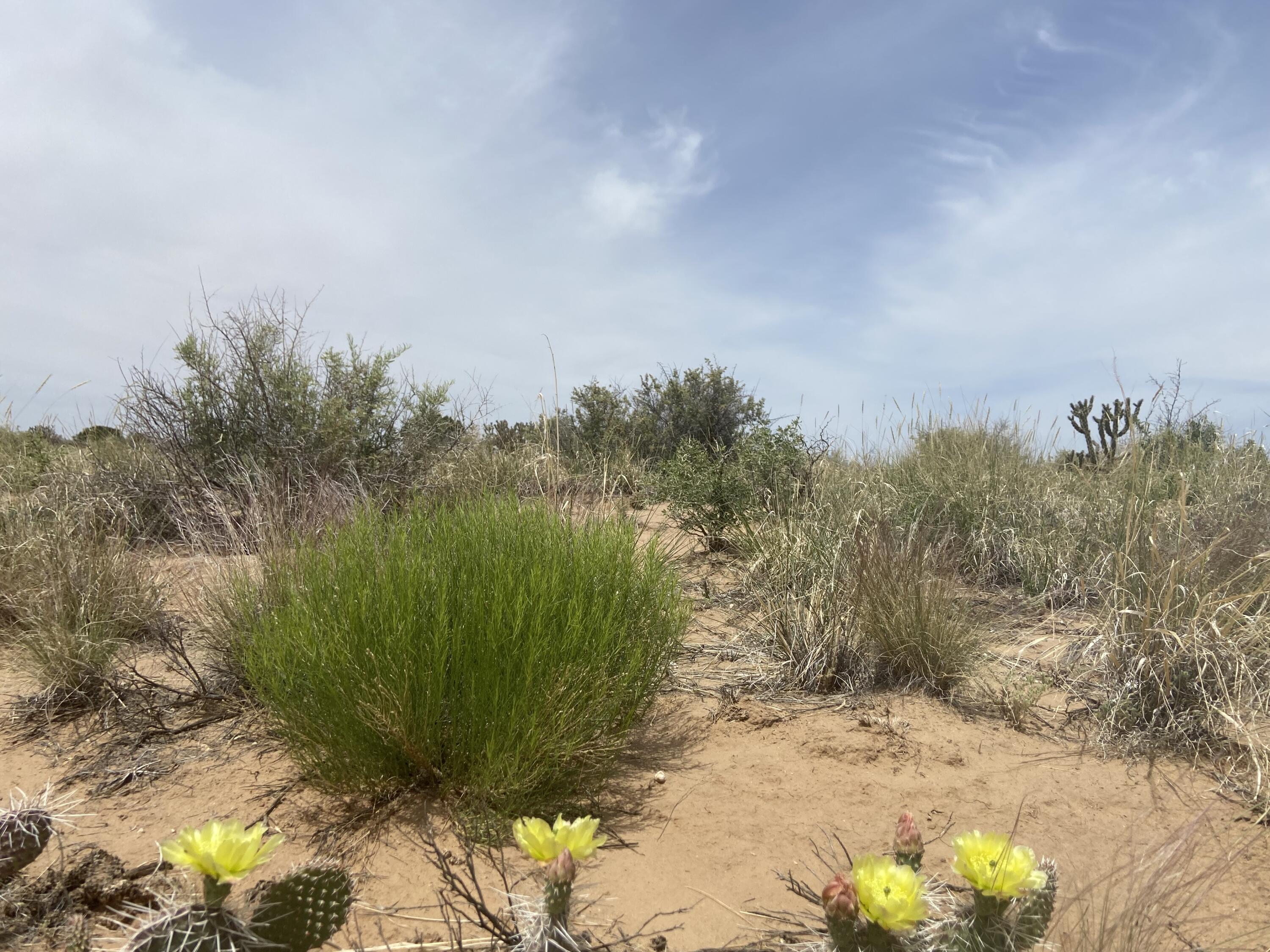 34th, Rio Rancho, New Mexico image 9