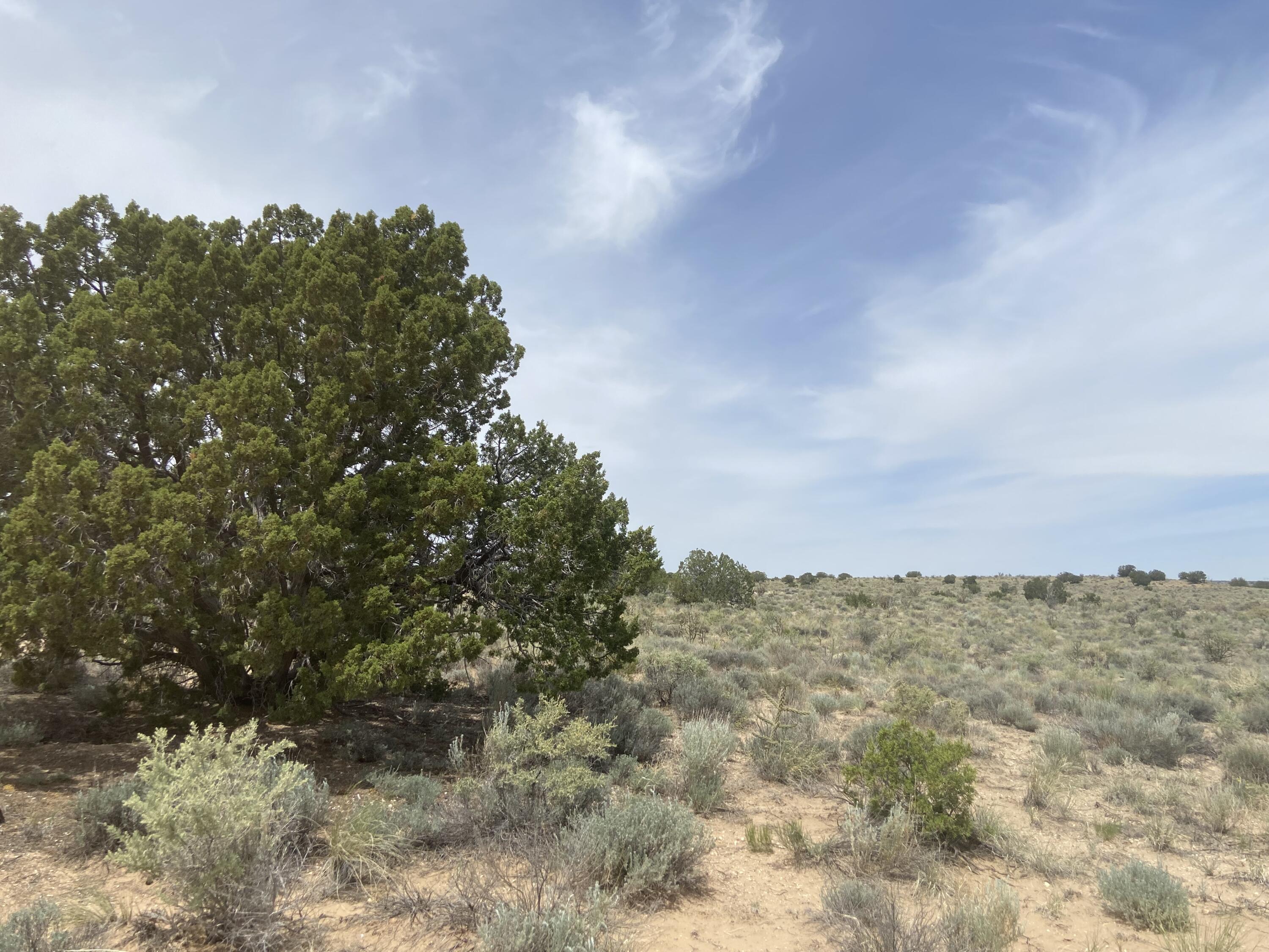 34th, Rio Rancho, New Mexico image 5