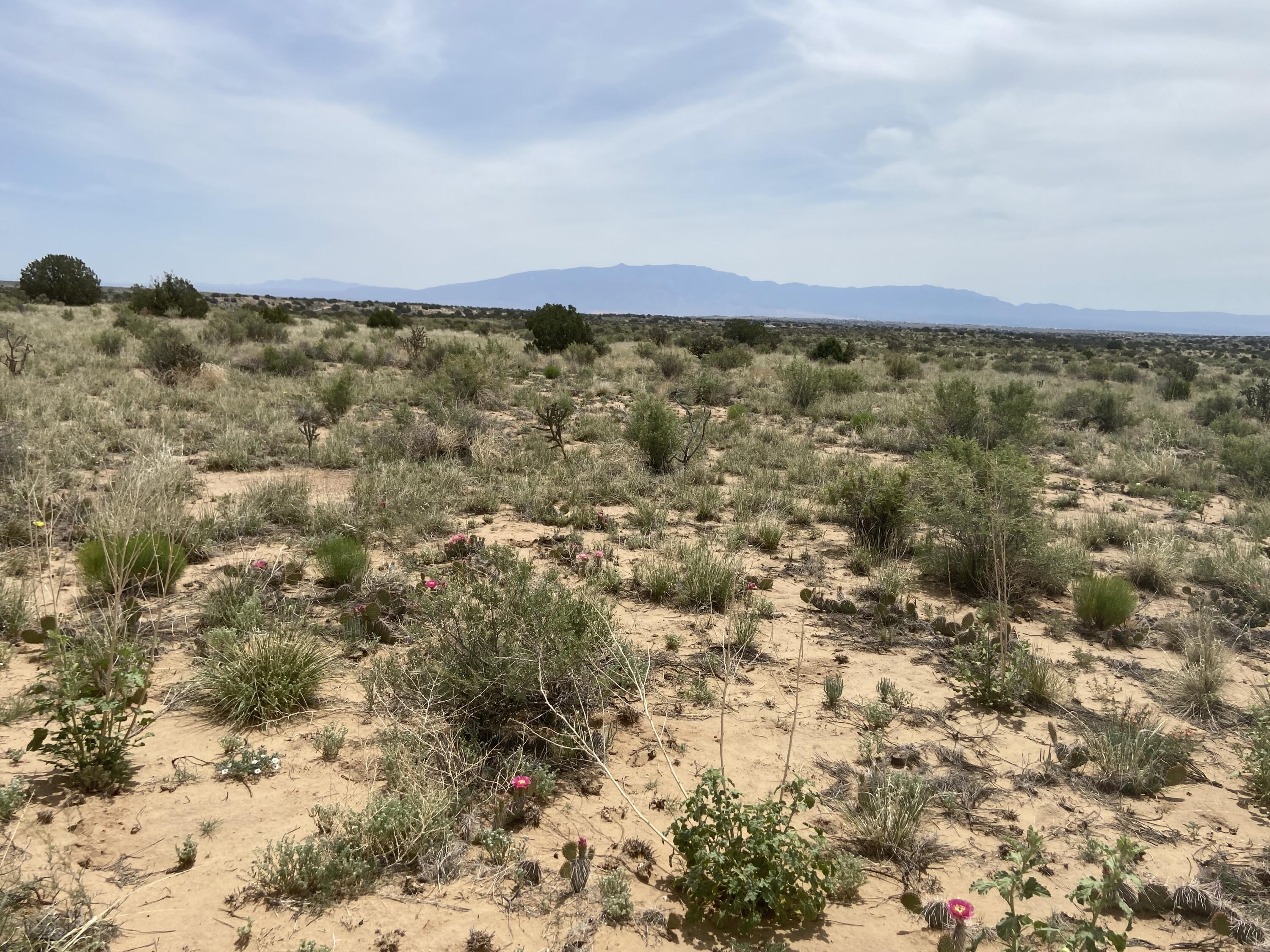 34th, Rio Rancho, New Mexico image 15