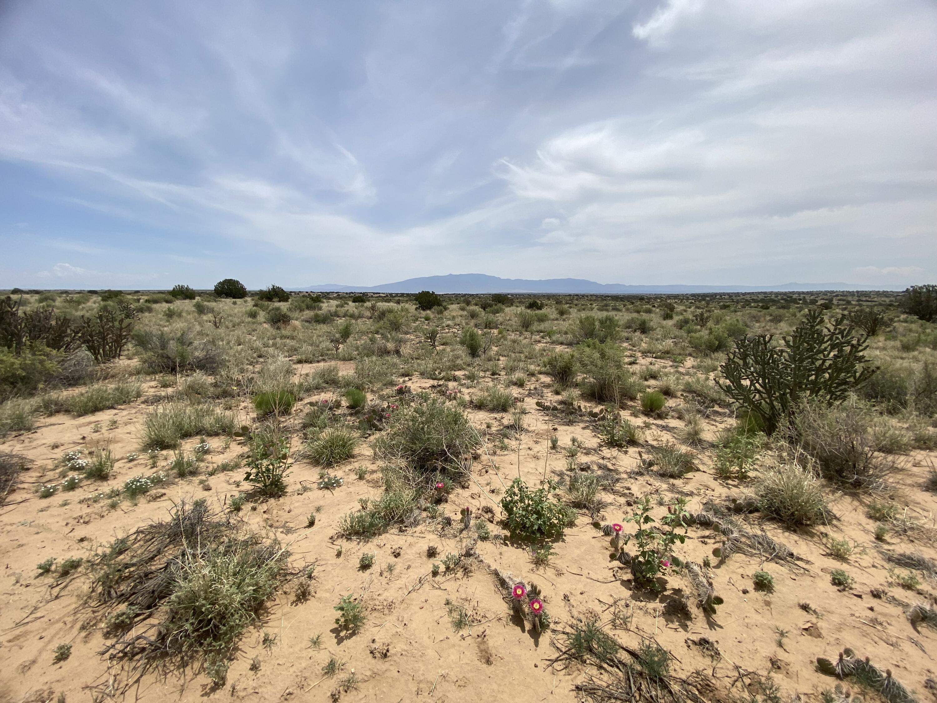 34th, Rio Rancho, New Mexico image 17