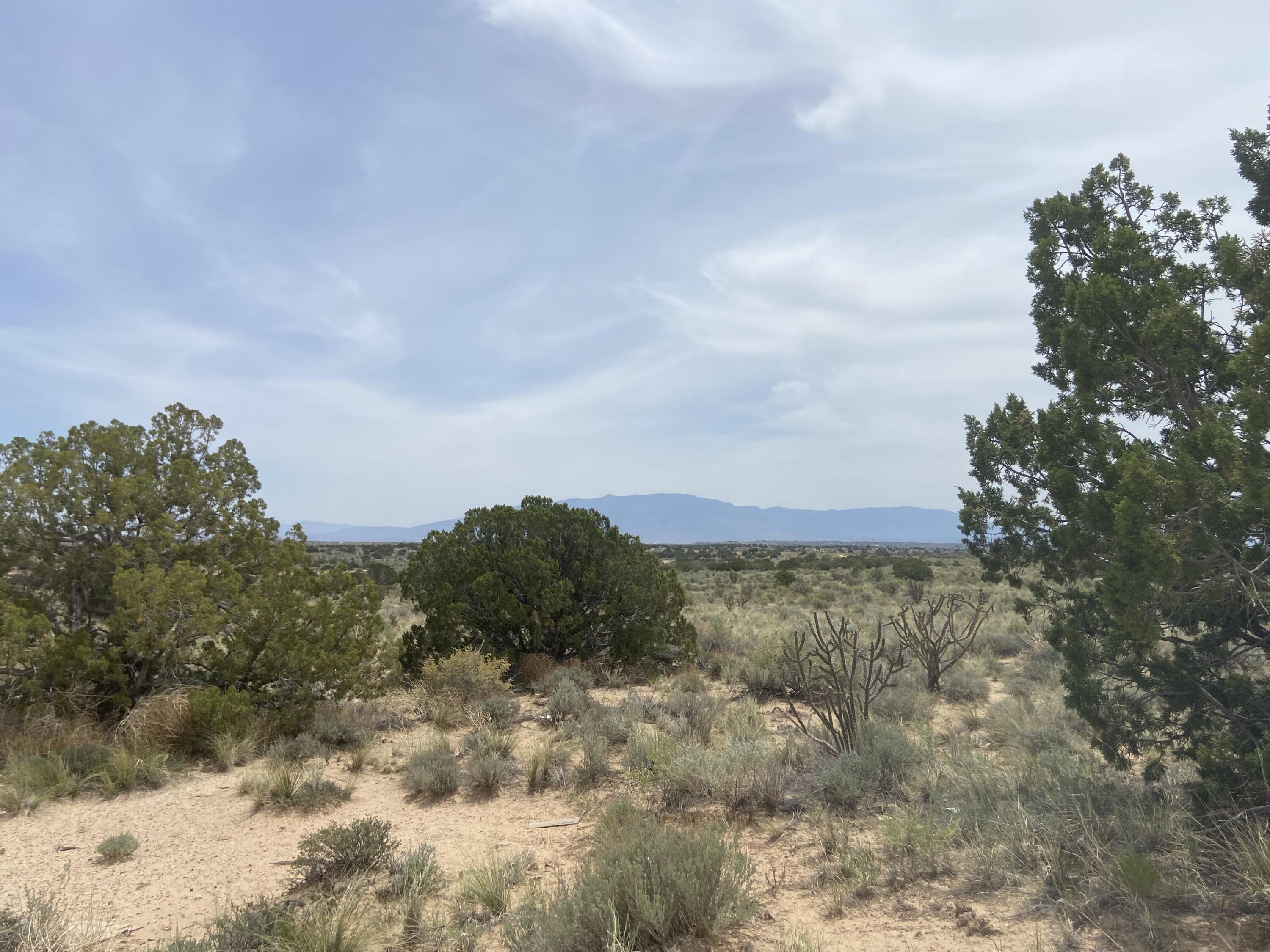 34th, Rio Rancho, New Mexico image 20