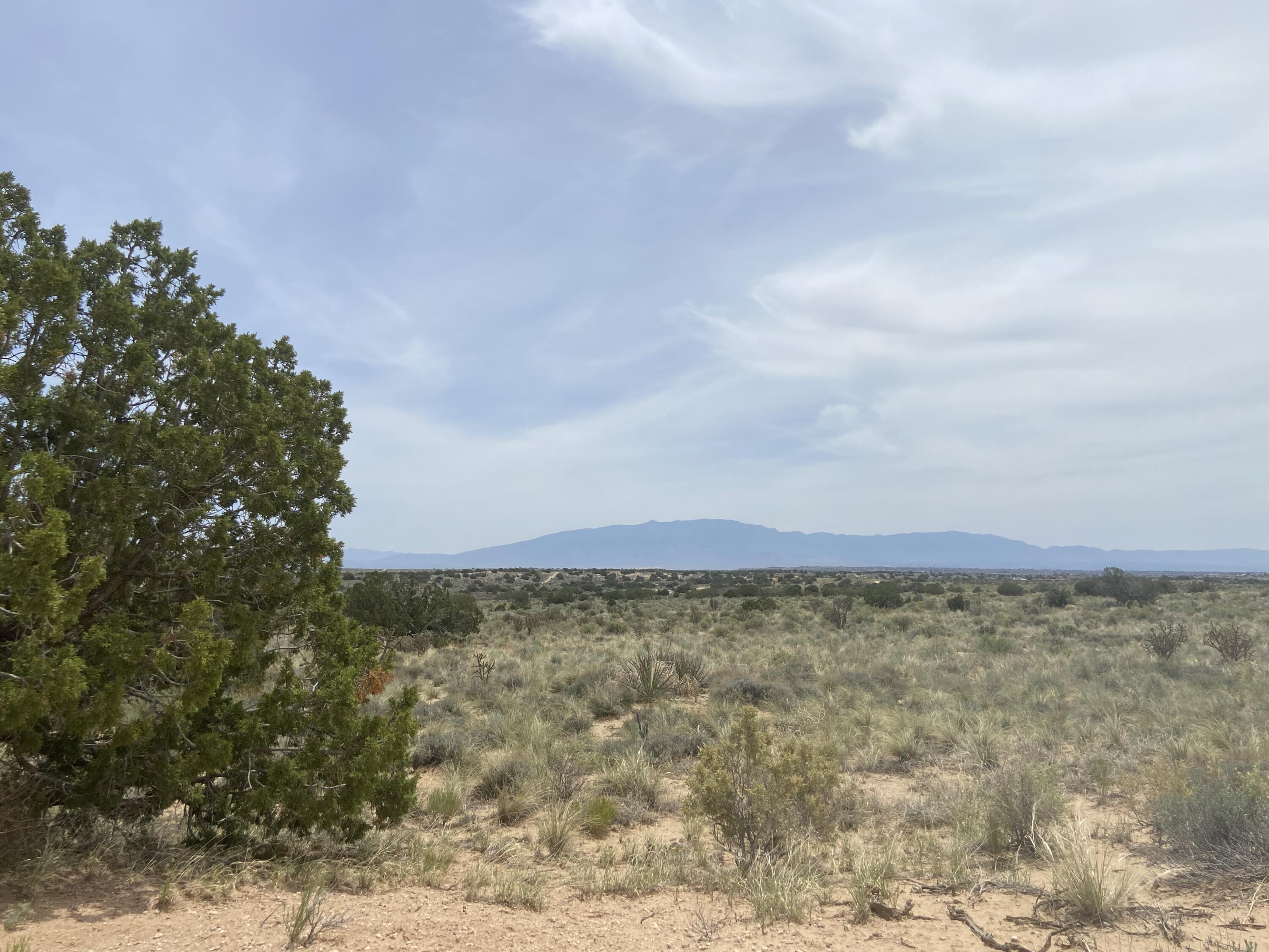 34th, Rio Rancho, New Mexico image 19