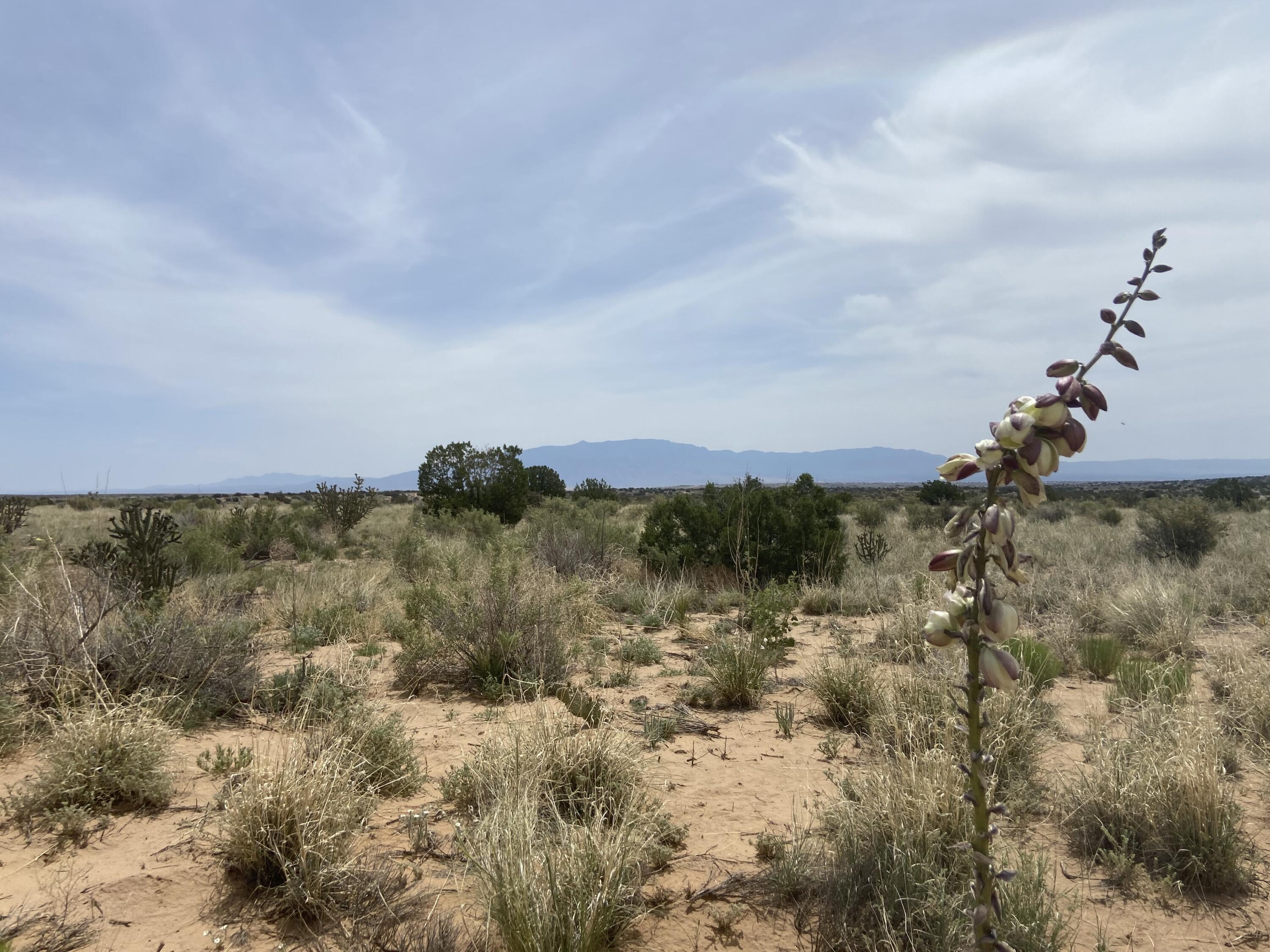 34th, Rio Rancho, New Mexico image 13