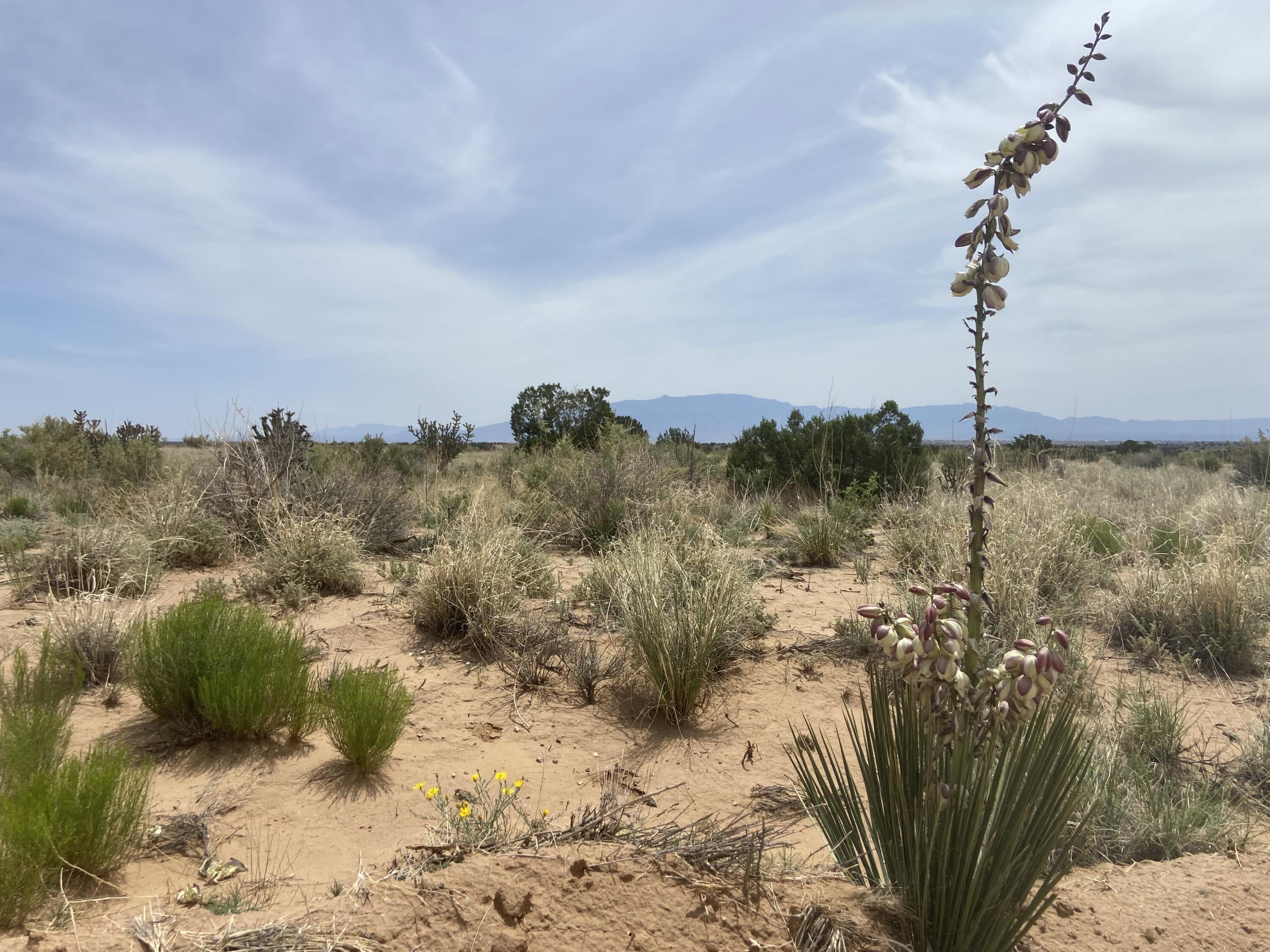 34th, Rio Rancho, New Mexico image 1