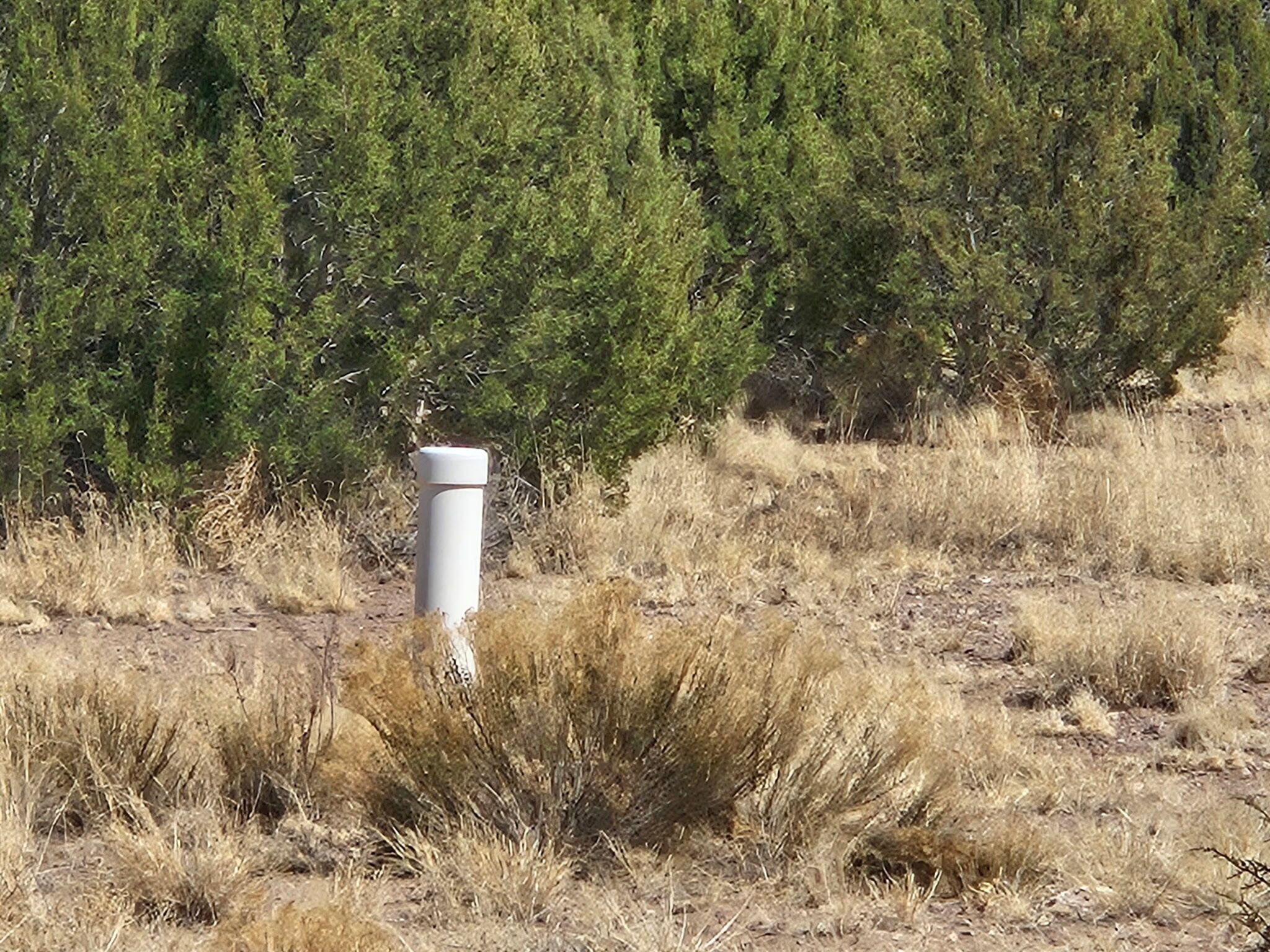 Lot 31 Magdalena Ranch Estates, Magdalena, New Mexico image 8