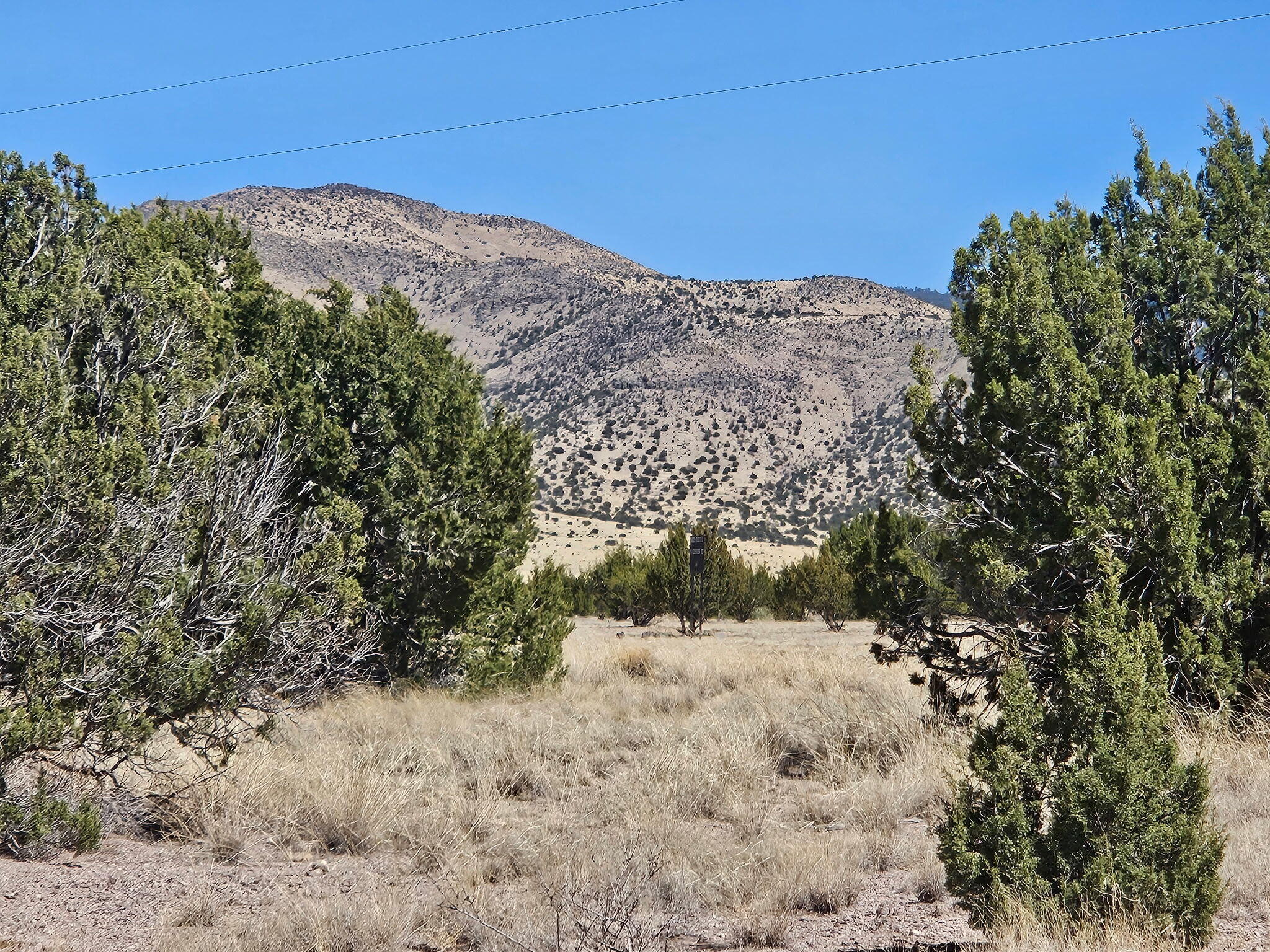 Lot 31 Magdalena Ranch Estates, Magdalena, New Mexico image 1