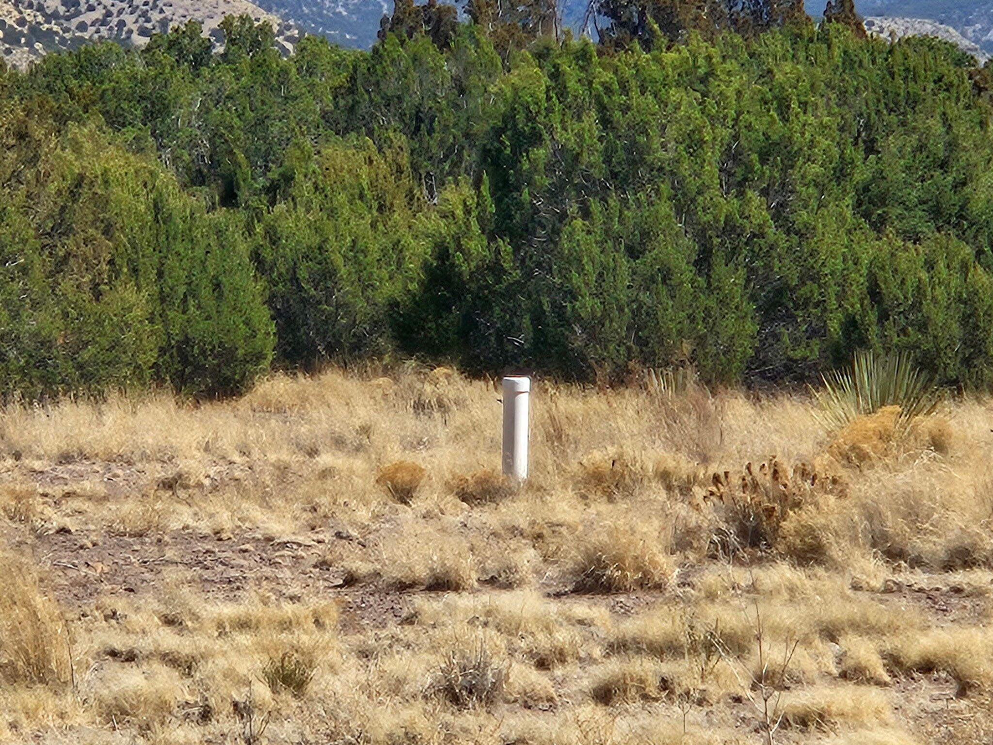 Lot 31 Magdalena Ranch Estates, Magdalena, New Mexico image 9