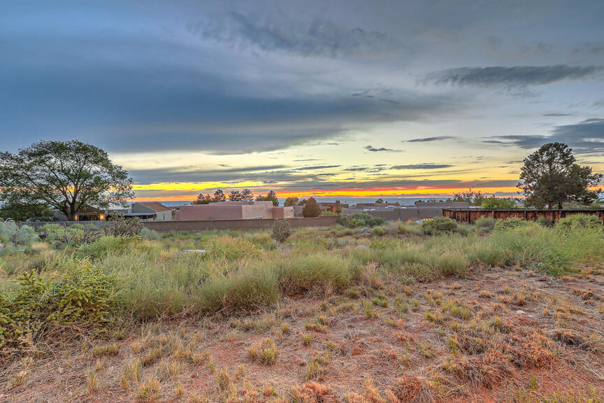 908 Tramway Lane, Albuquerque, New Mexico image 10