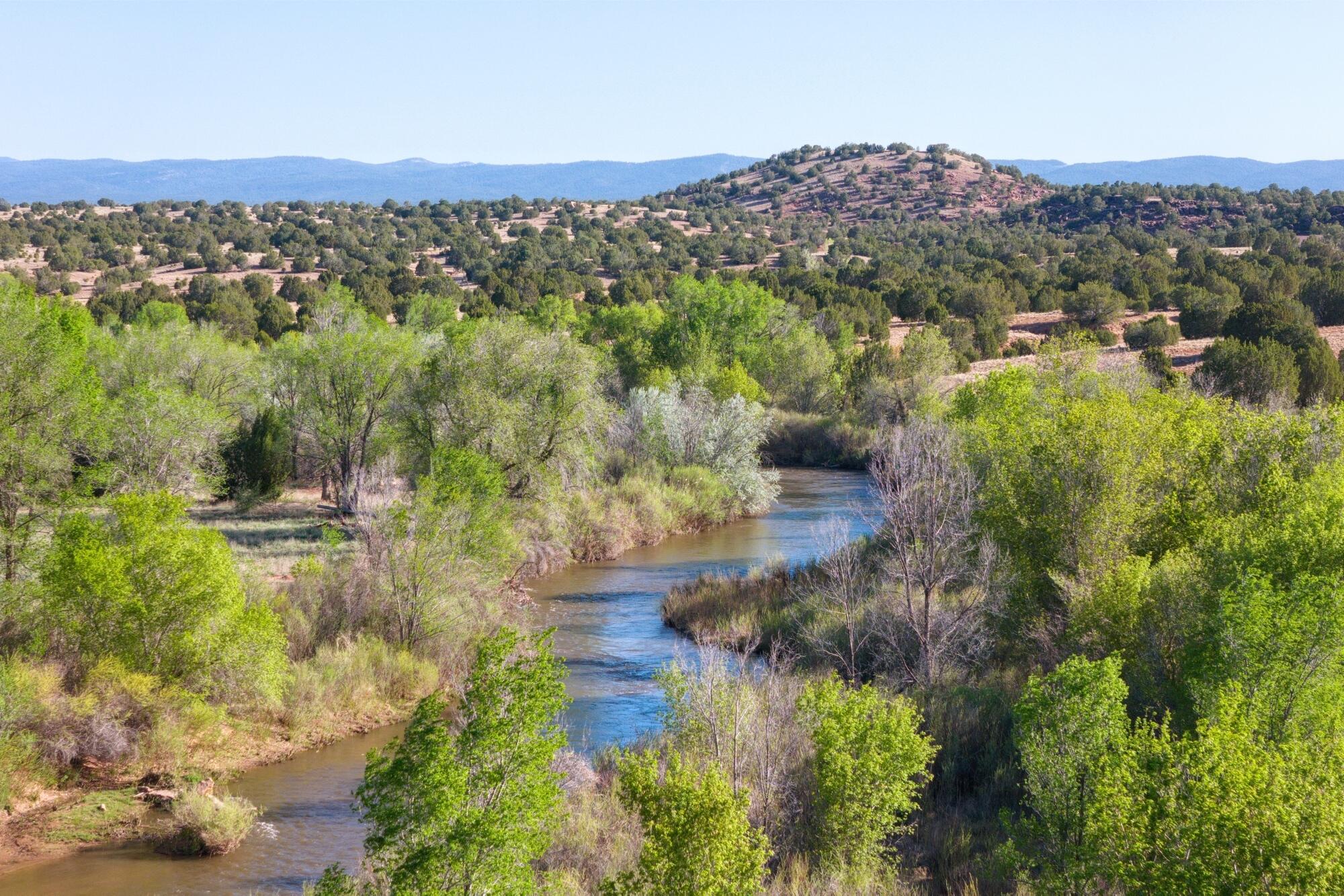 340 B41e, Ribera, New Mexico image 5