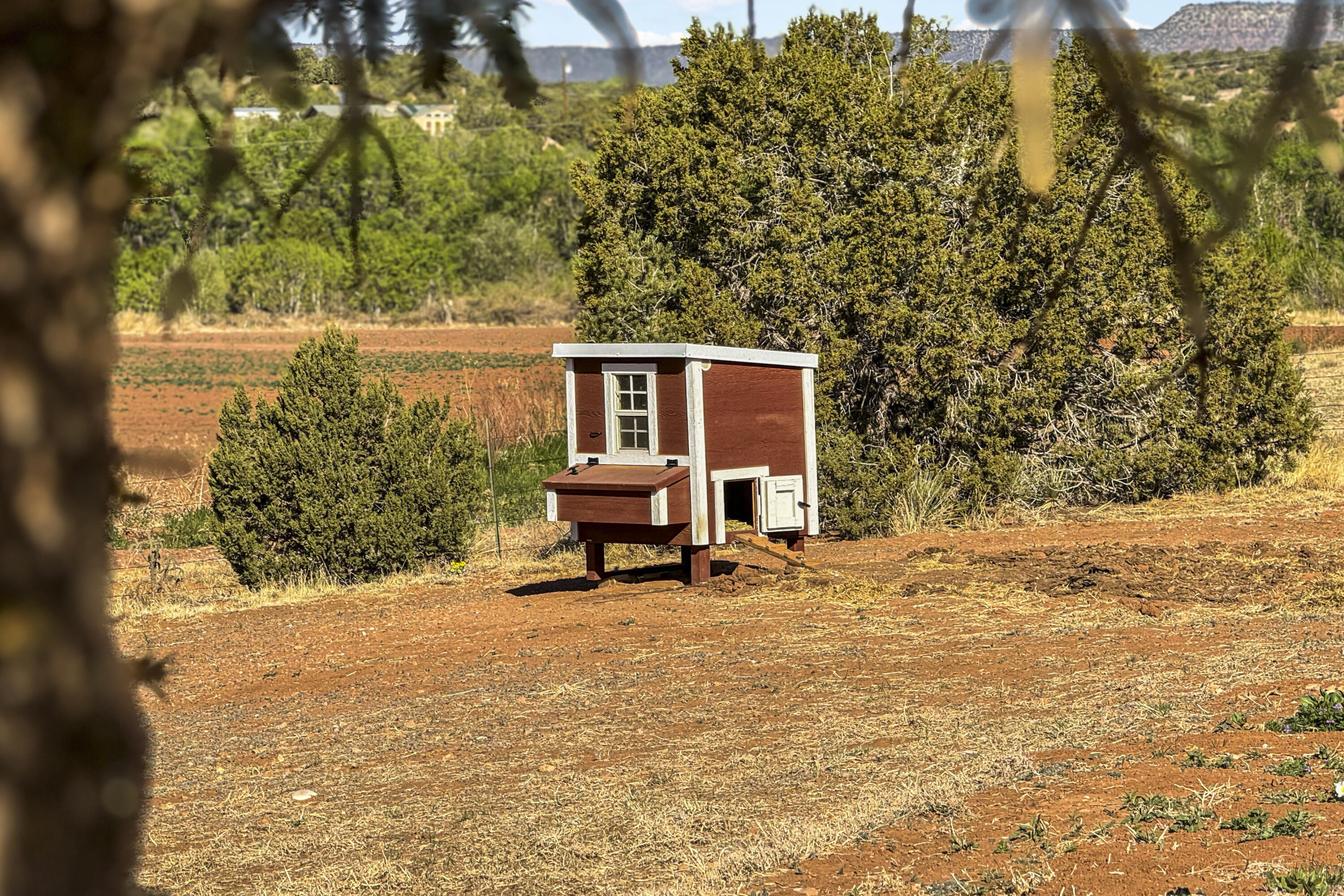 340 B41e, Ribera, New Mexico image 9