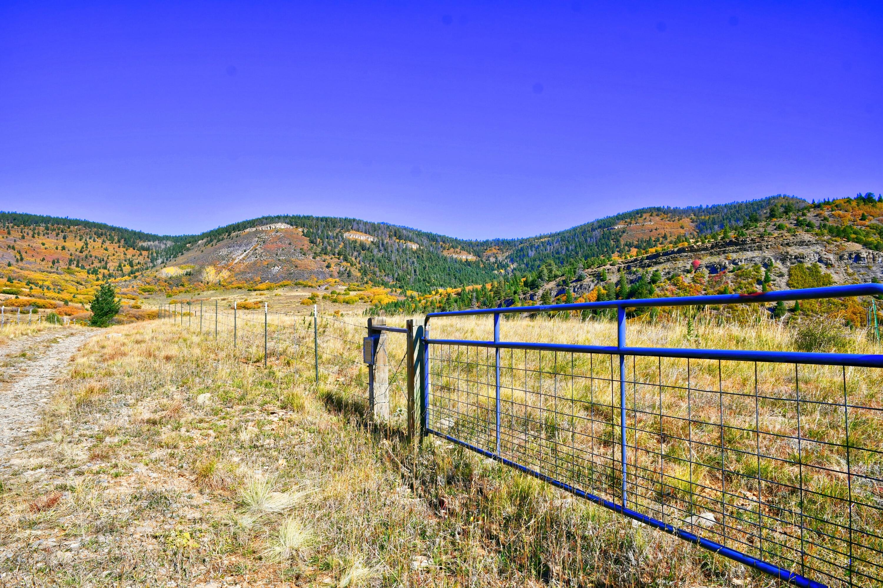 ChaconTR2 Creek B008, Mora, New Mexico image 2