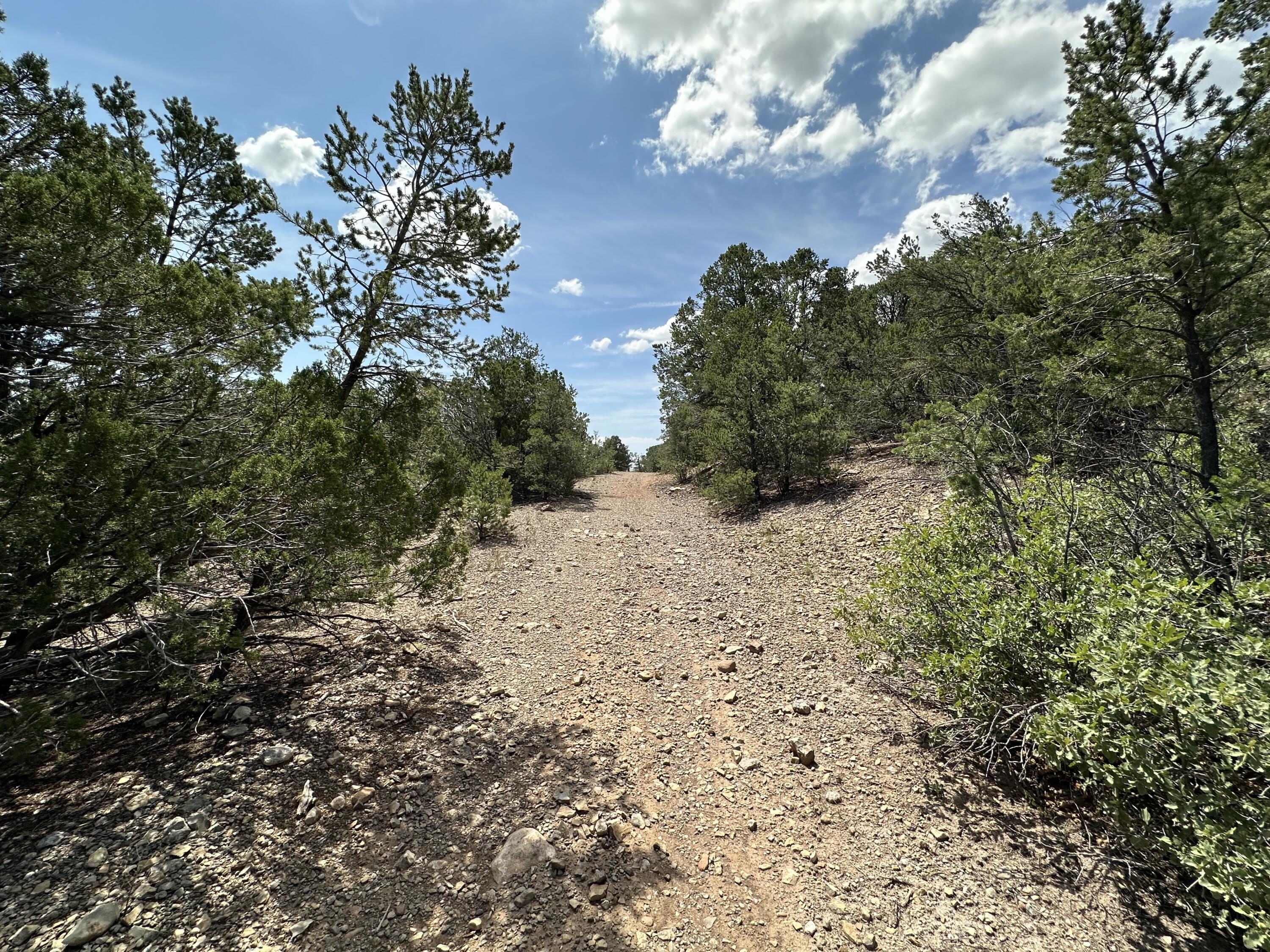 52 Sandia Mountain Ranch Drive, Tijeras, New Mexico image 6