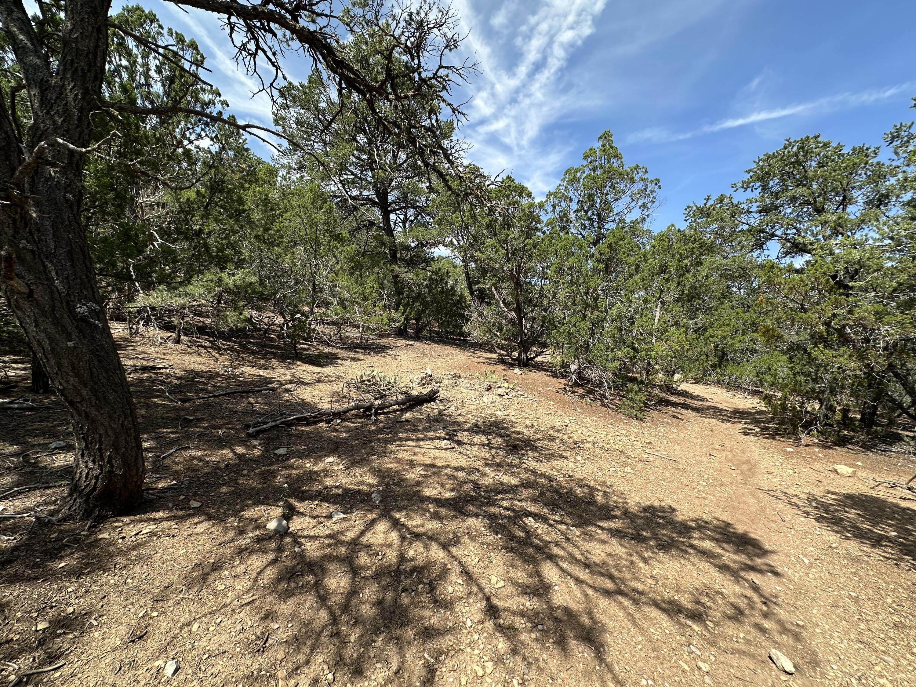 52 Sandia Mountain Ranch Drive, Tijeras, New Mexico image 9