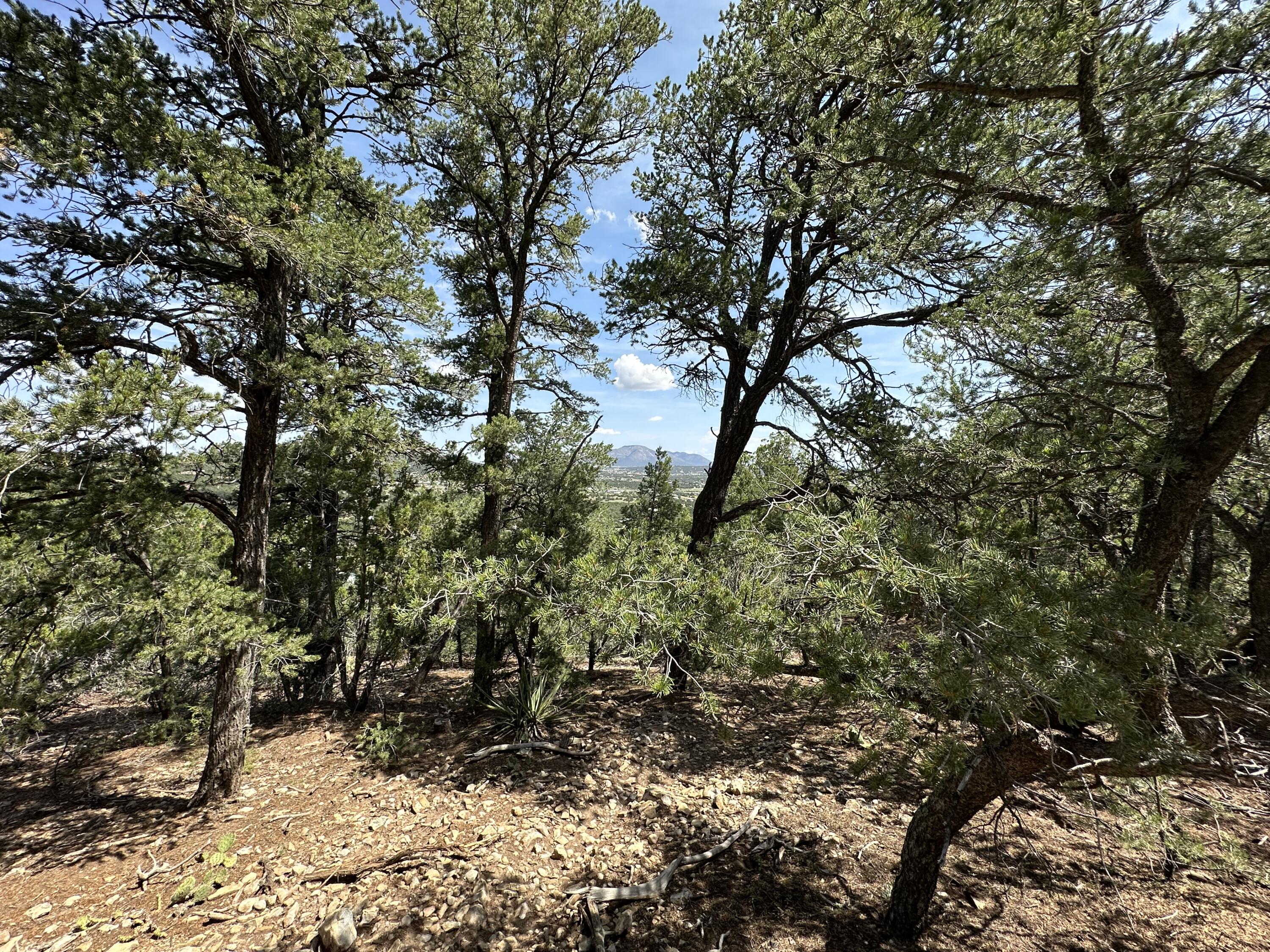 52 Sandia Mountain Ranch Drive, Tijeras, New Mexico image 11