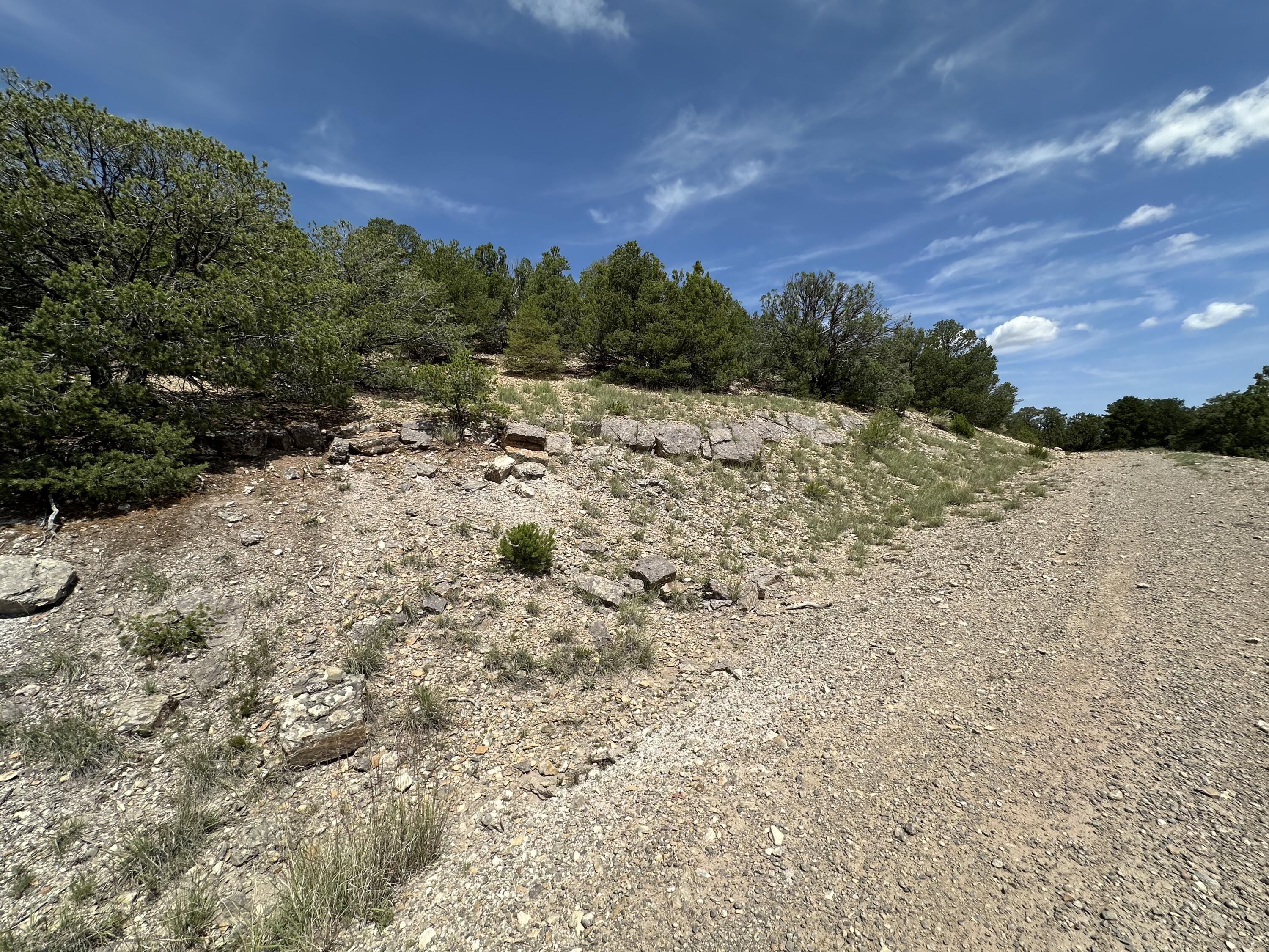 52 Sandia Mountain Ranch Drive, Tijeras, New Mexico image 10