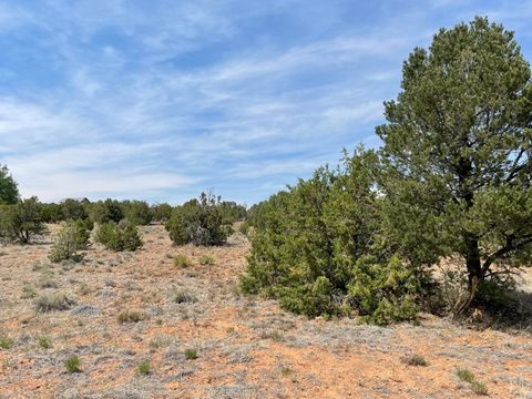 Vacant Land For Sale - 153 Paa Ko Drive<br/> Bernalillo County, Sandia Park, NM 87047