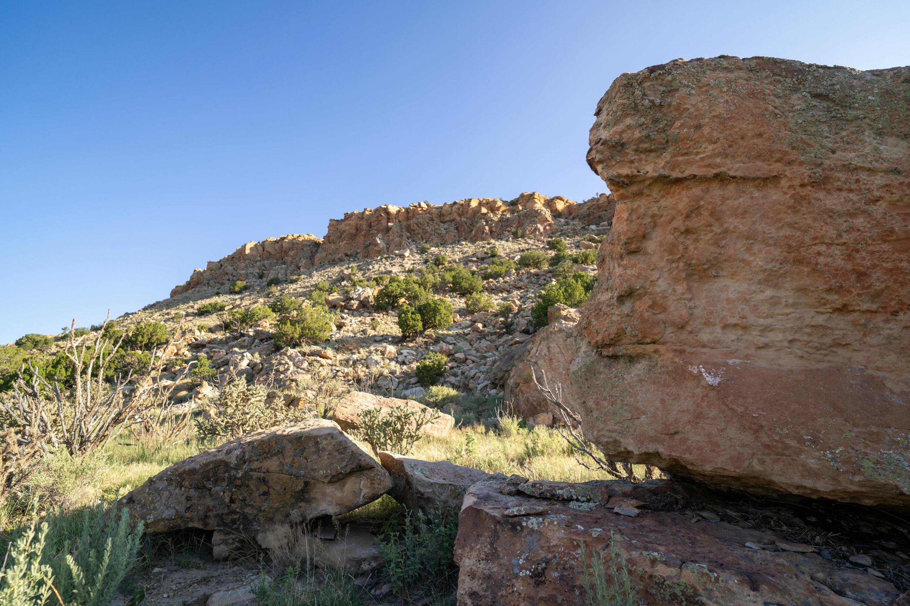 La Ventana Mesa Ranch - Us Hwy, Cuba, New Mexico image 25