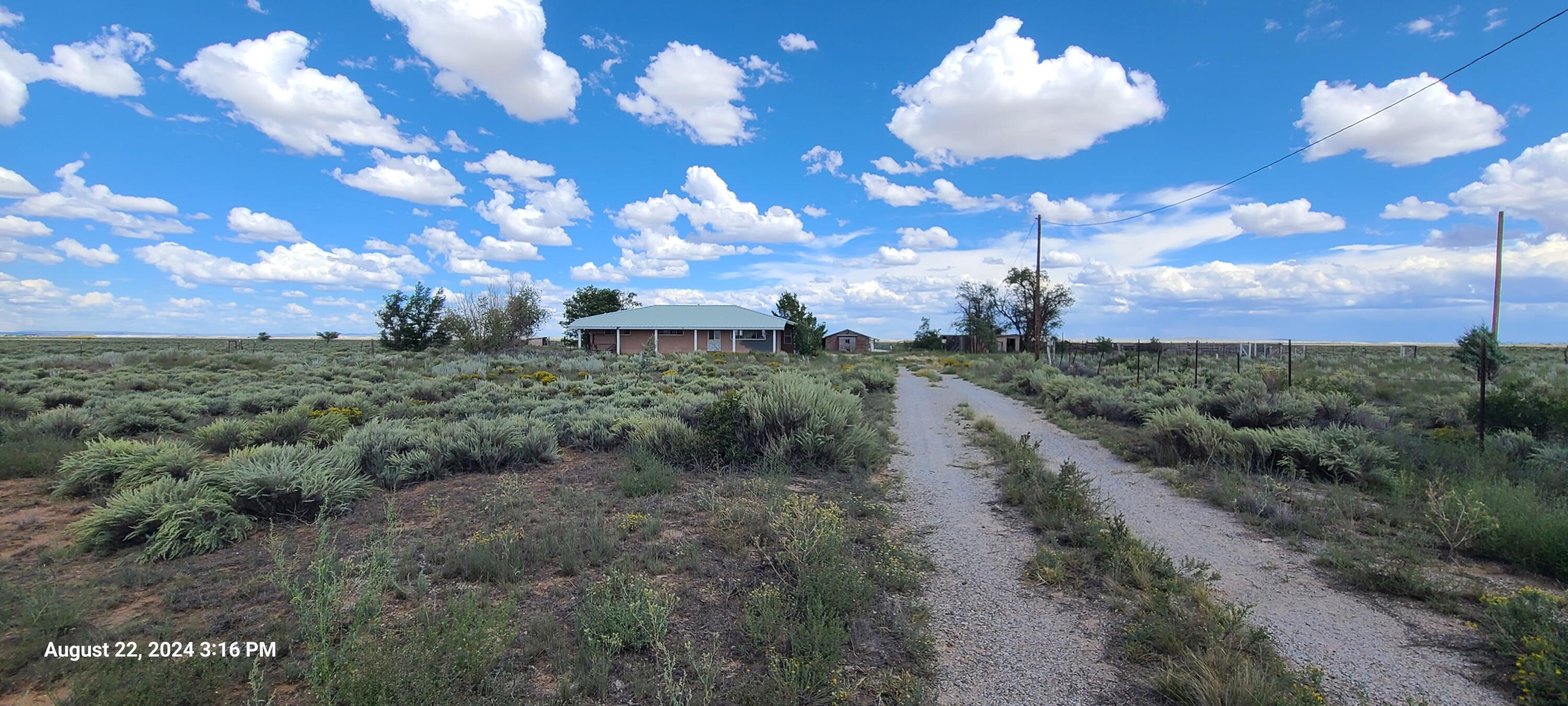 211 Nm Hwy 41, Willard, New Mexico image 5