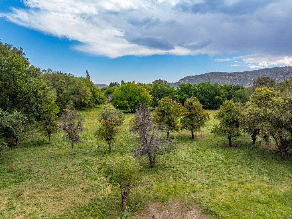 29224 U.S. Highway 70