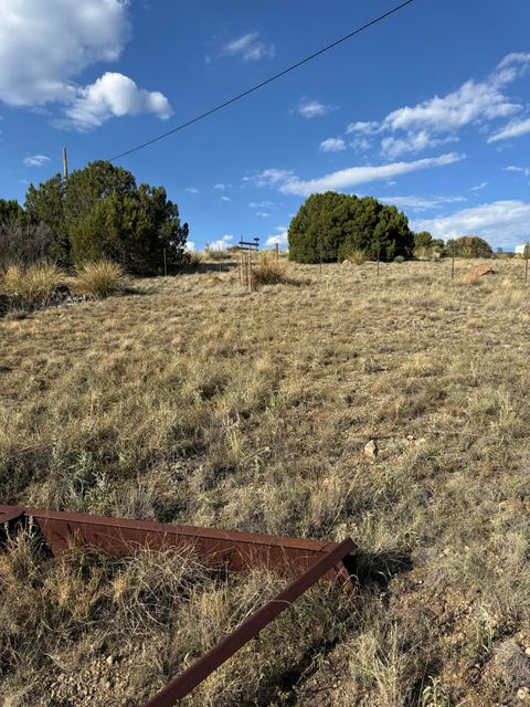 Vacant Land For Sale - 314 Durango Street<br/> Silver City, NM 88061