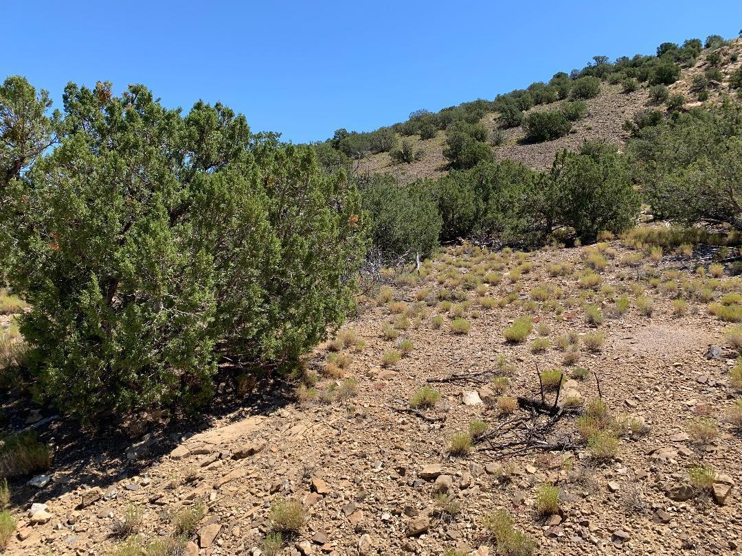 4 Charlotte Lane, Placitas, New Mexico image 4