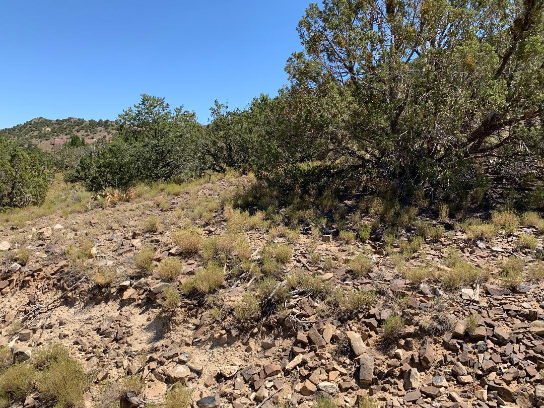 4 Charlotte Lane, Placitas, New Mexico image 2