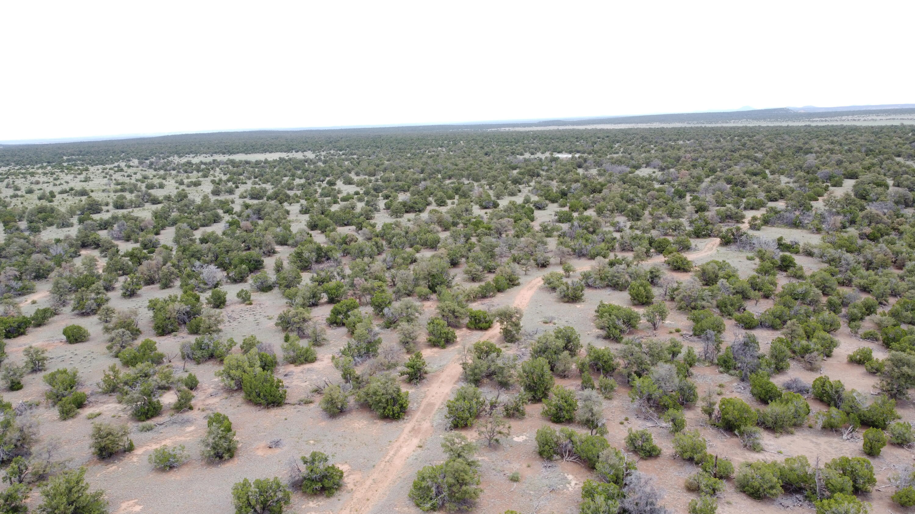 738 Moreno Hill Road, Fence Lake, New Mexico image 46