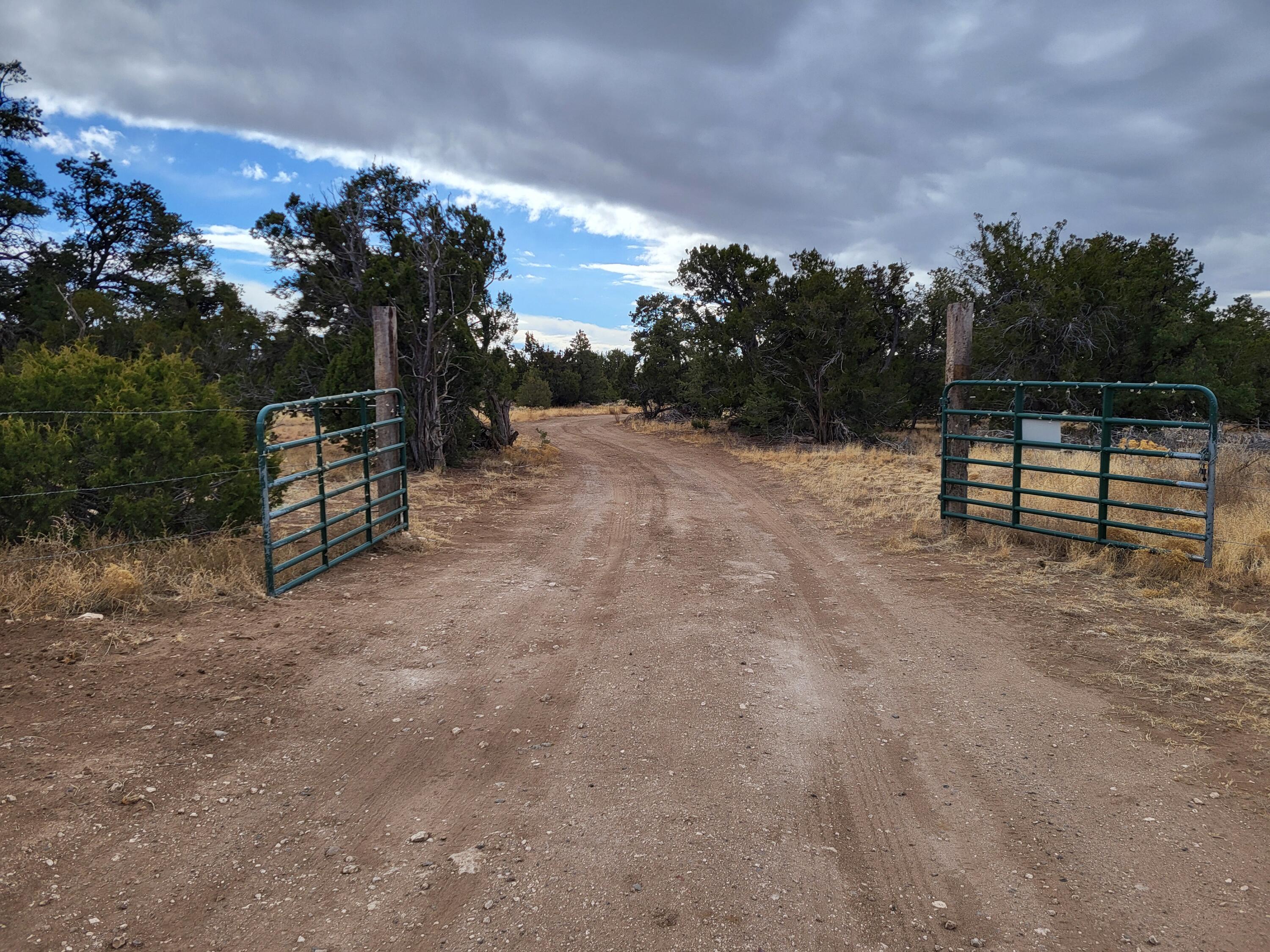 738 Moreno Hill Road, Fence Lake, New Mexico image 5