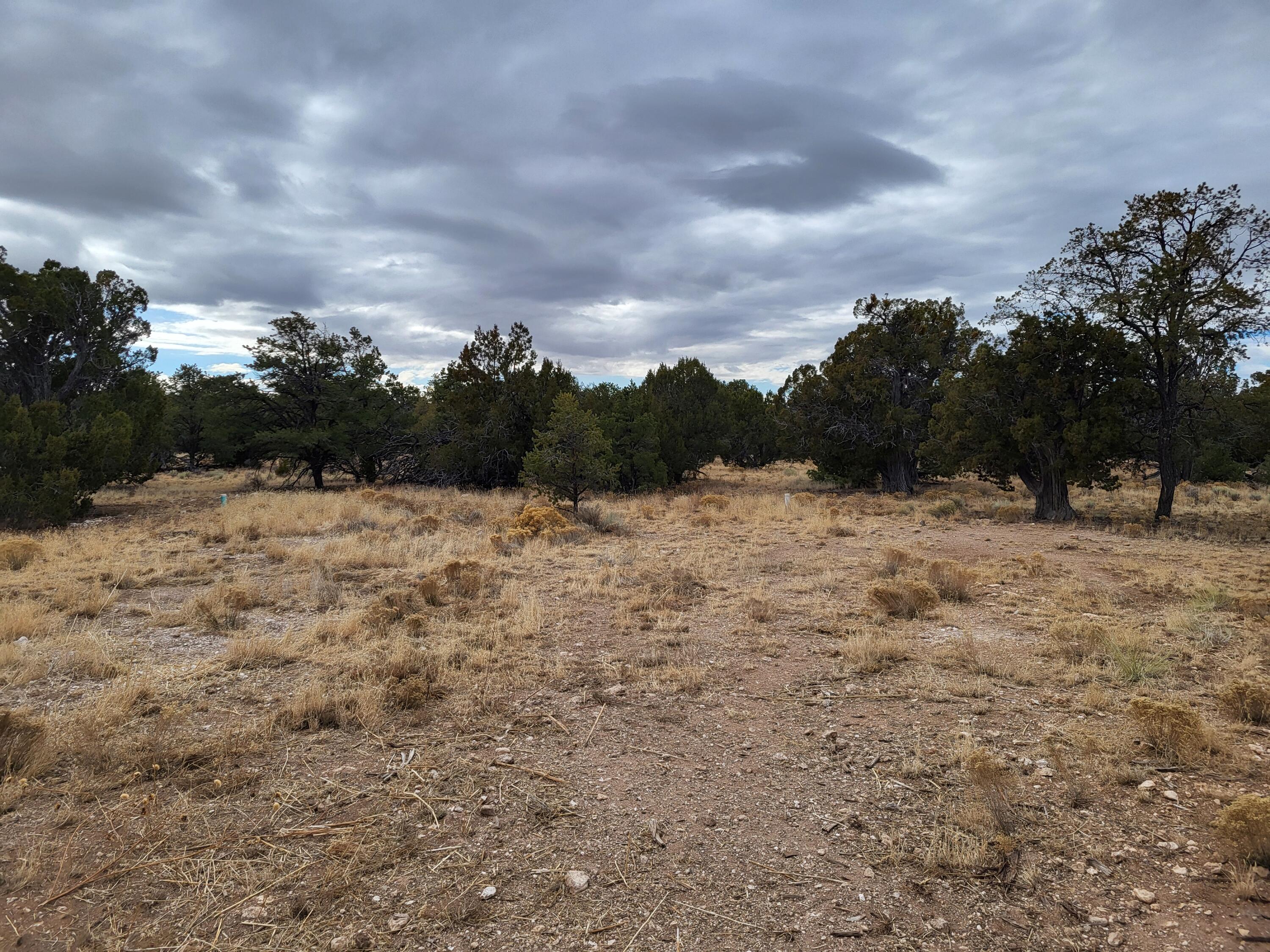 738 Moreno Hill Road, Fence Lake, New Mexico image 31