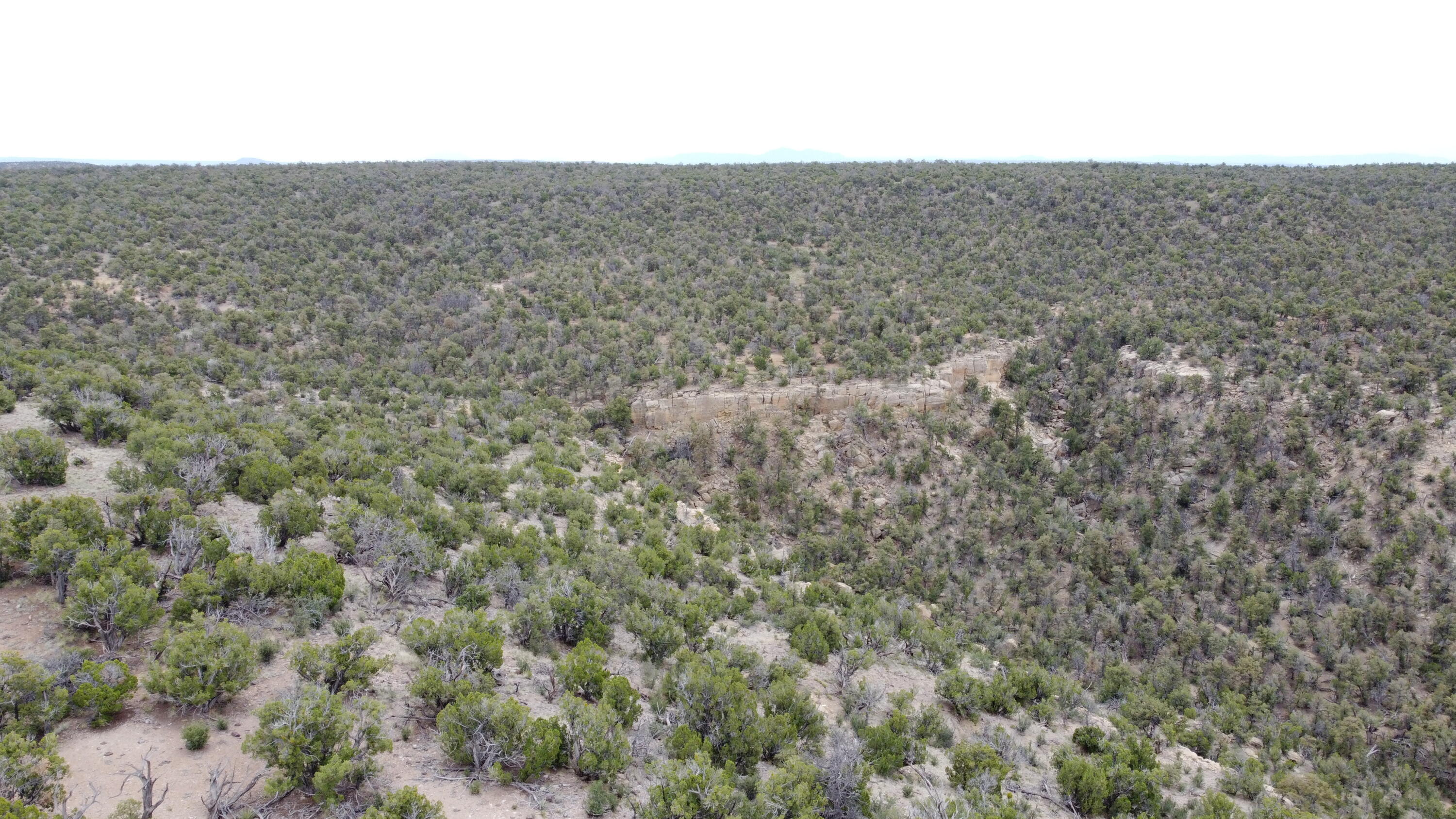 738 Moreno Hill Road, Fence Lake, New Mexico image 42