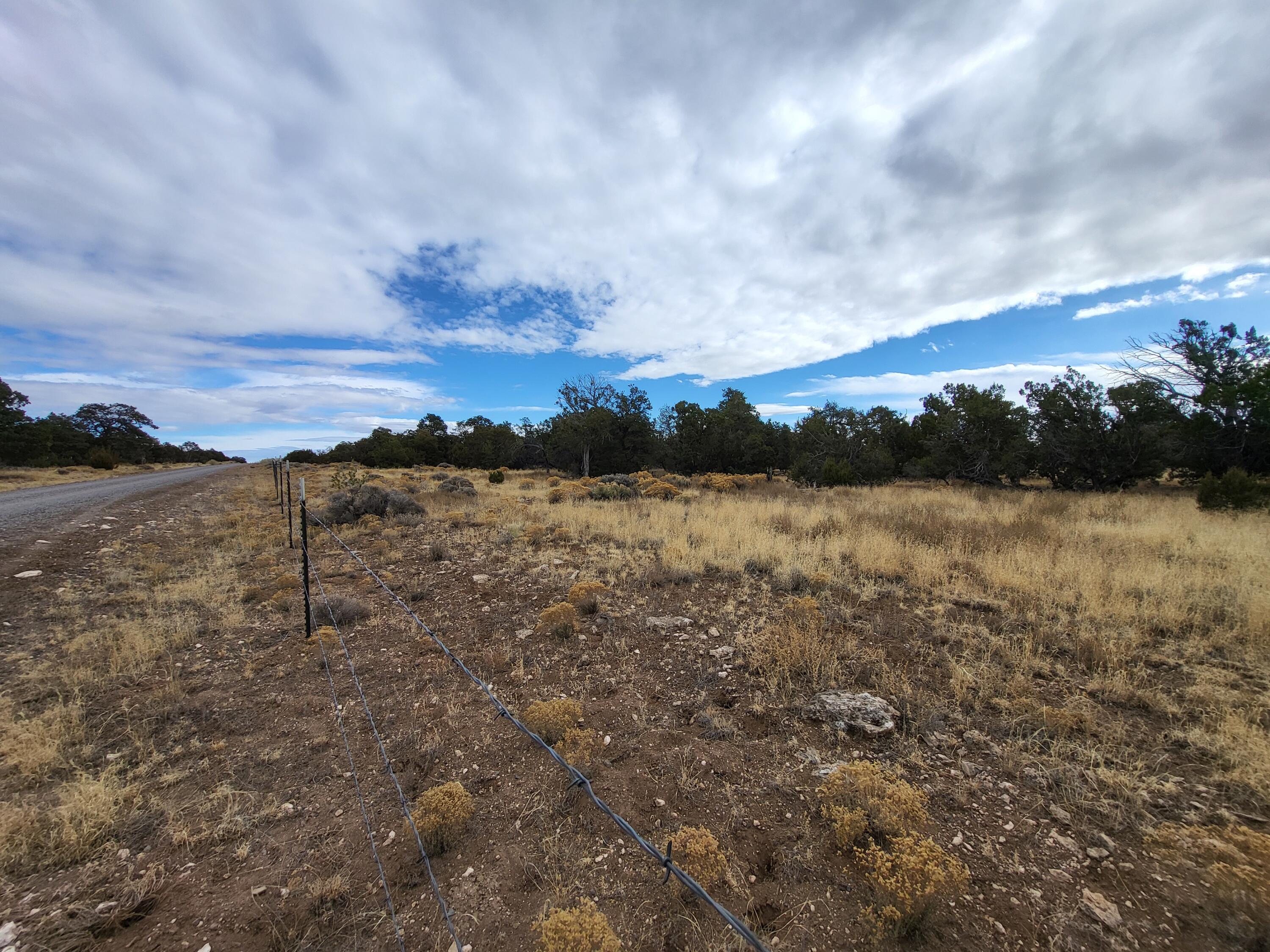 738 Moreno Hill Road, Fence Lake, New Mexico image 38