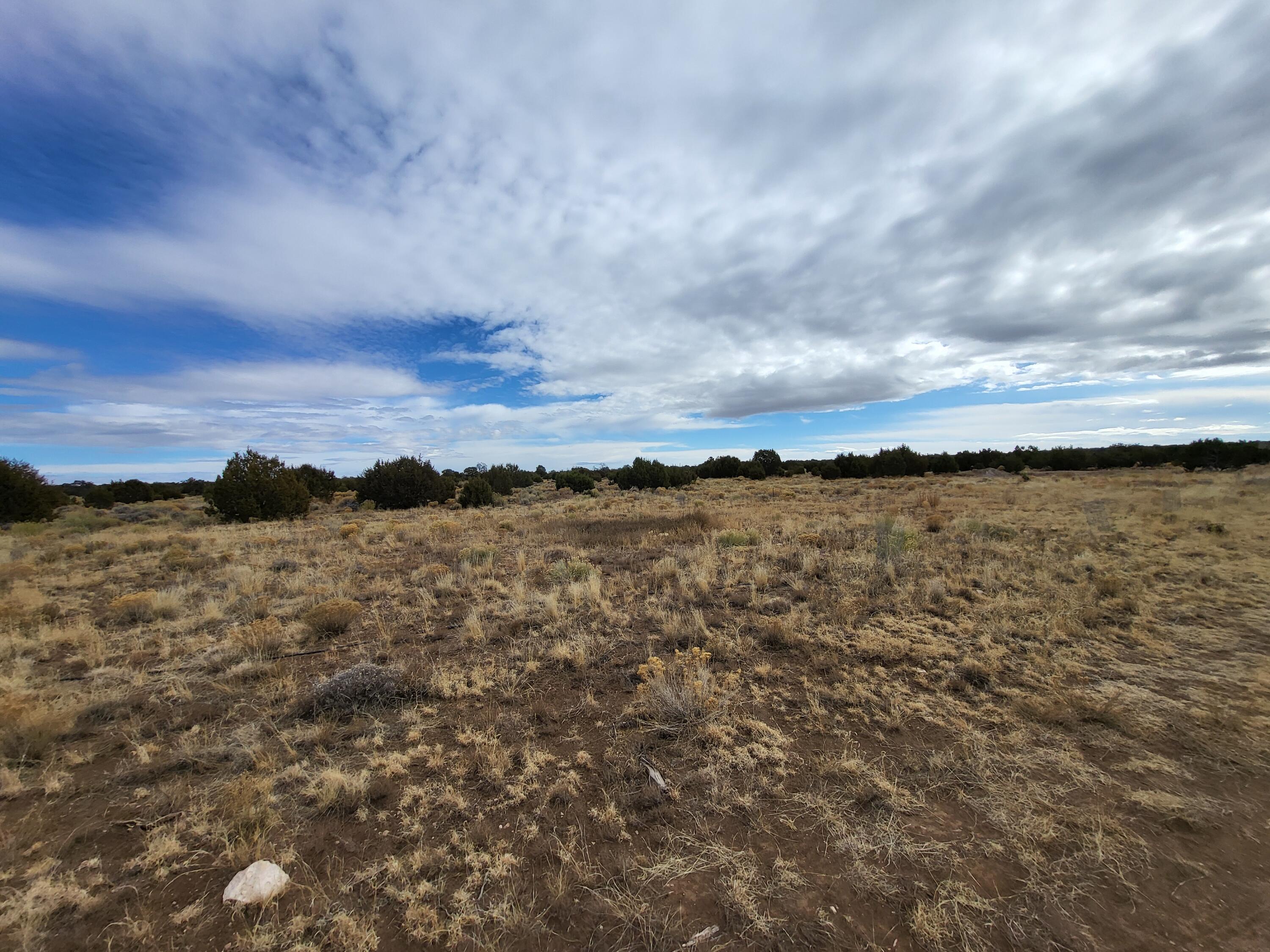 738 Moreno Hill Road, Fence Lake, New Mexico image 27