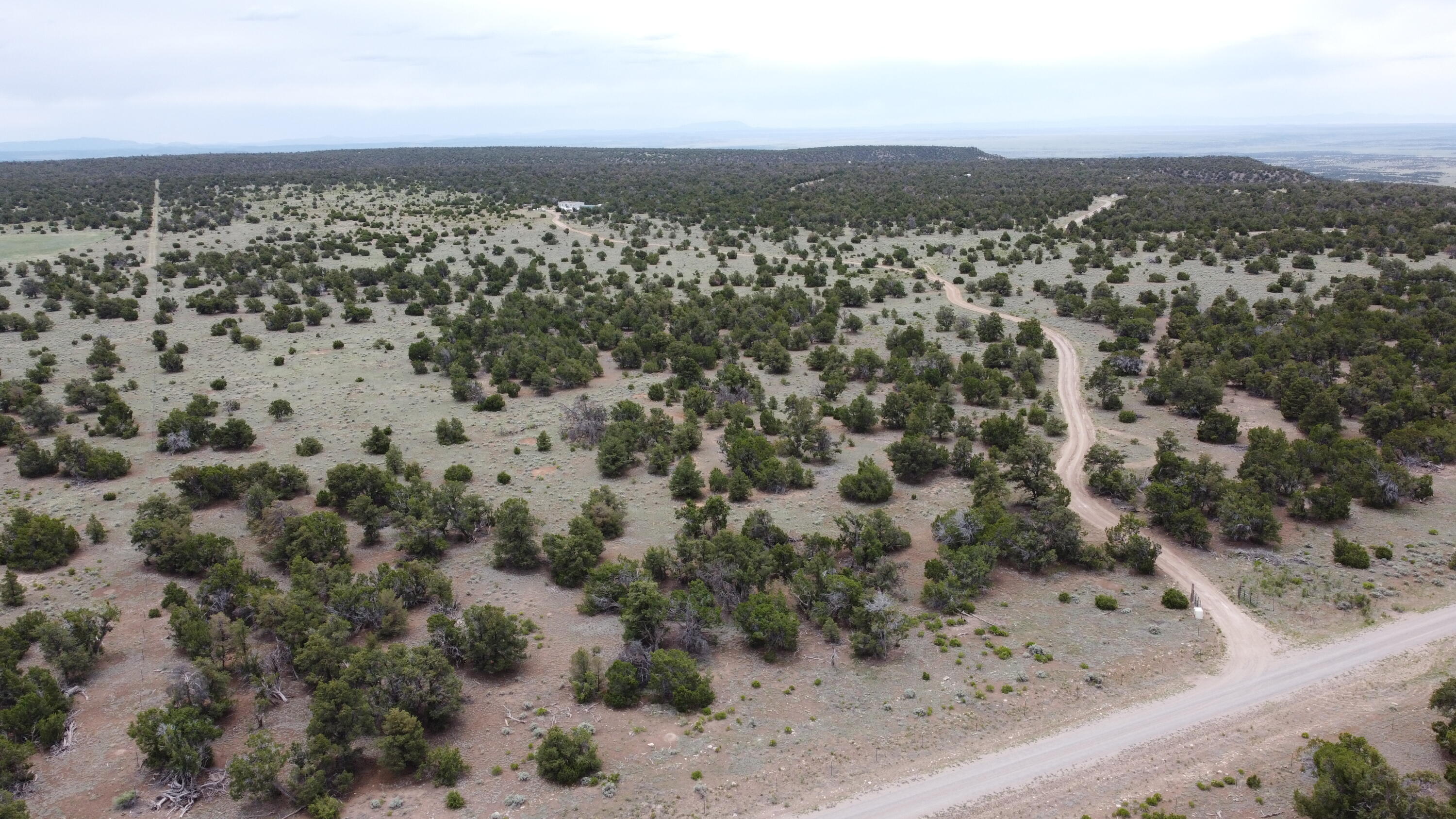 738 Moreno Hill Road, Fence Lake, New Mexico image 39