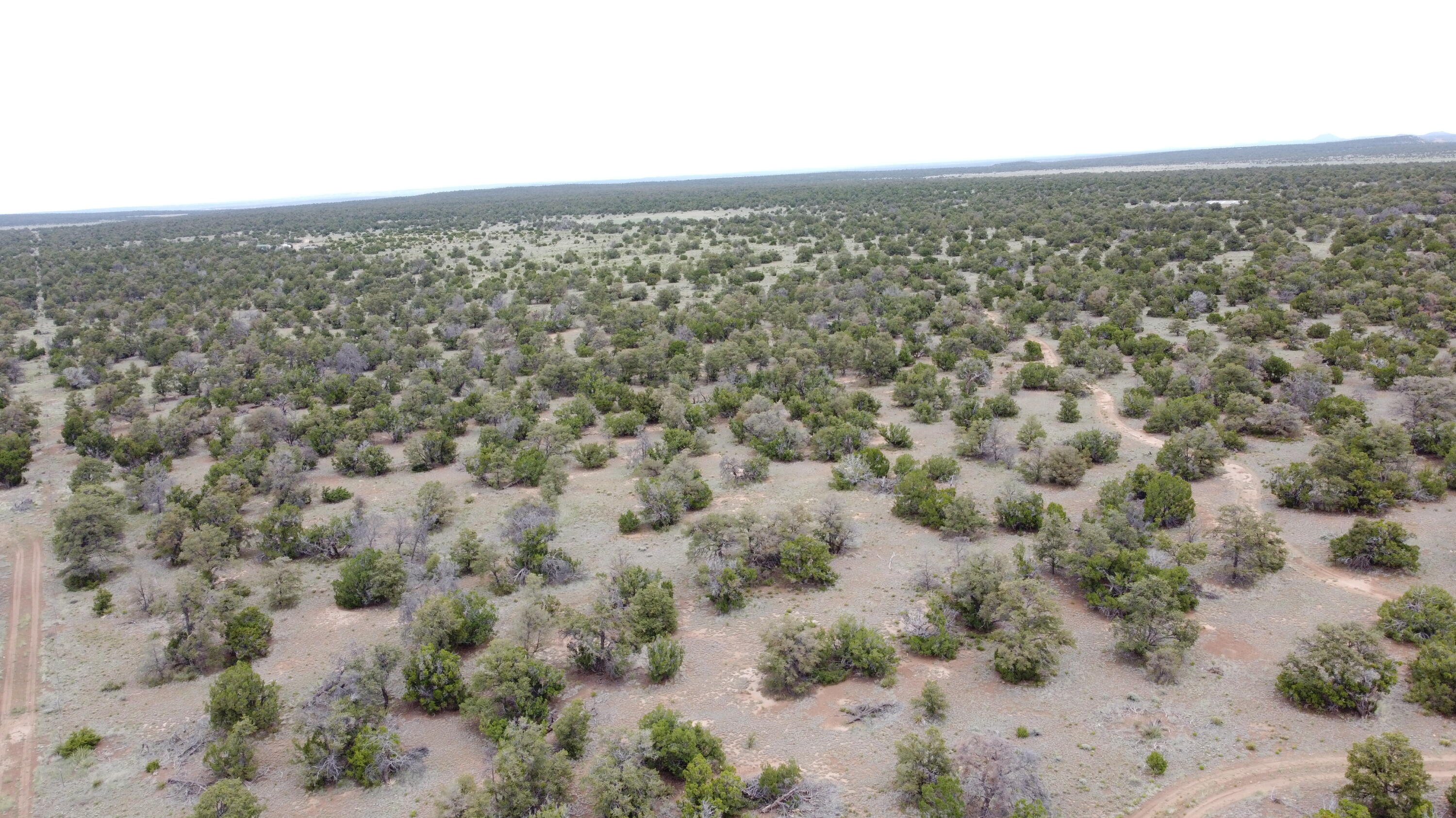 738 Moreno Hill Road, Fence Lake, New Mexico image 43