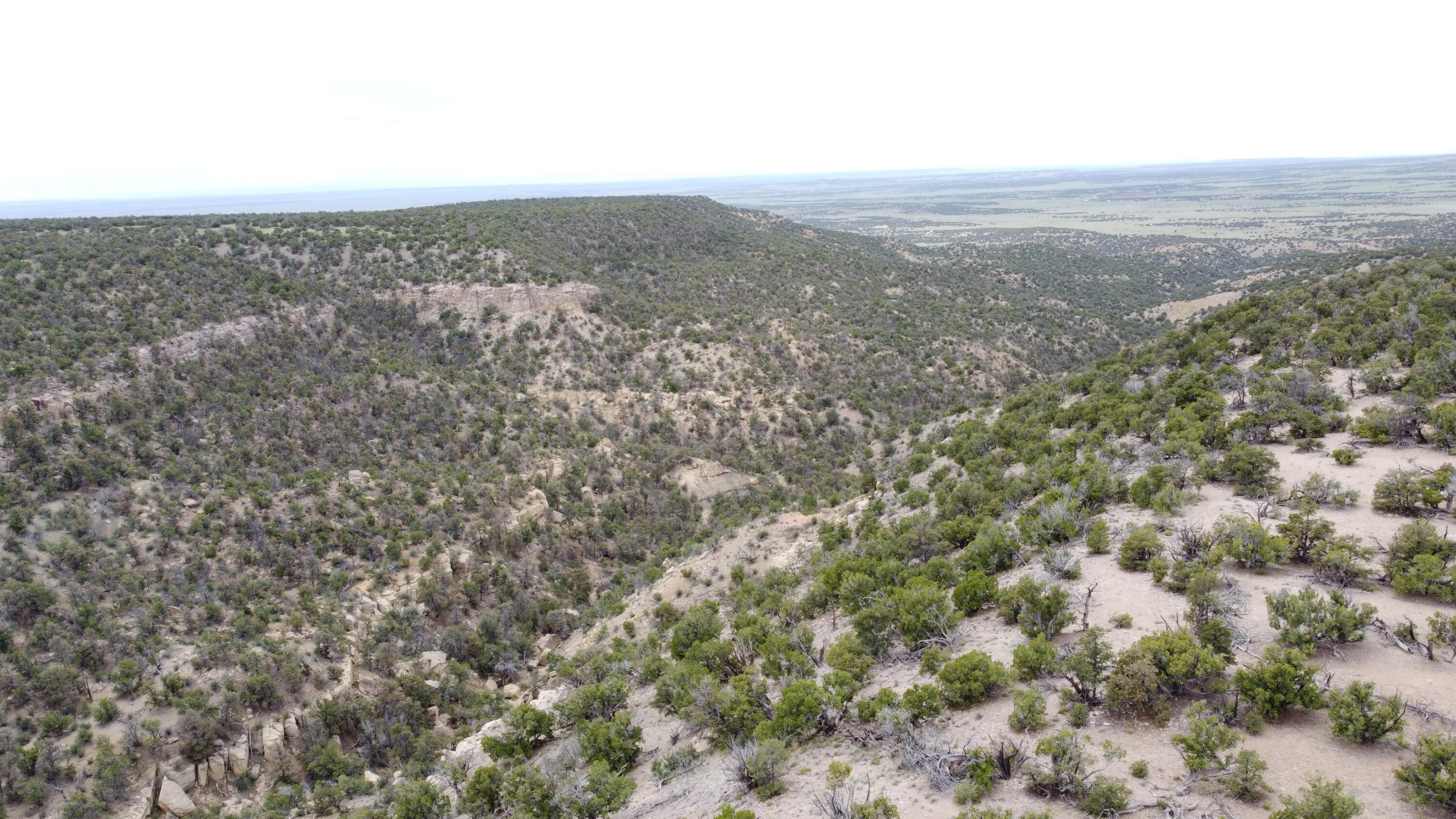 738 Moreno Hill Road, Fence Lake, New Mexico image 41