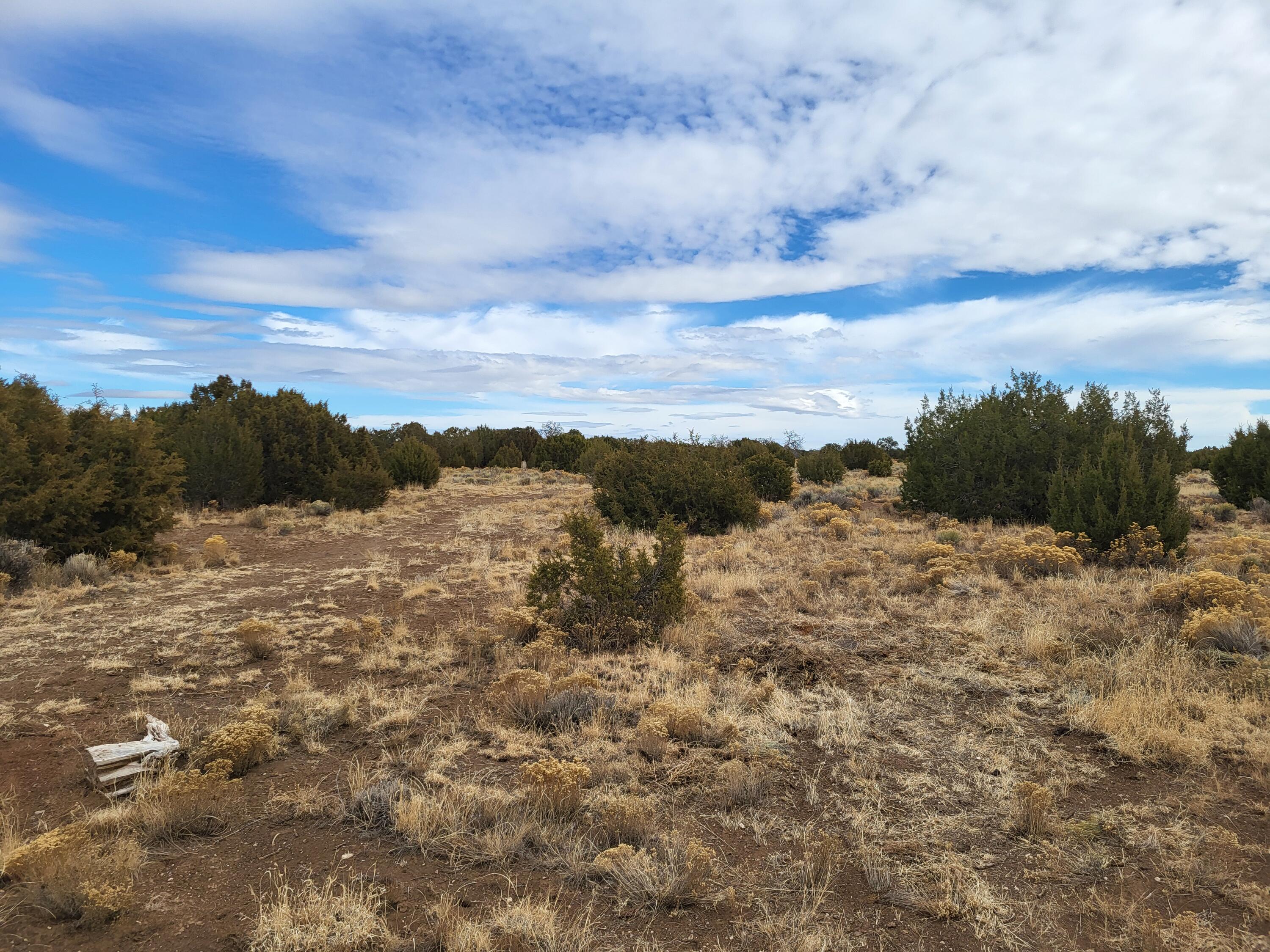 738 Moreno Hill Road, Fence Lake, New Mexico image 36