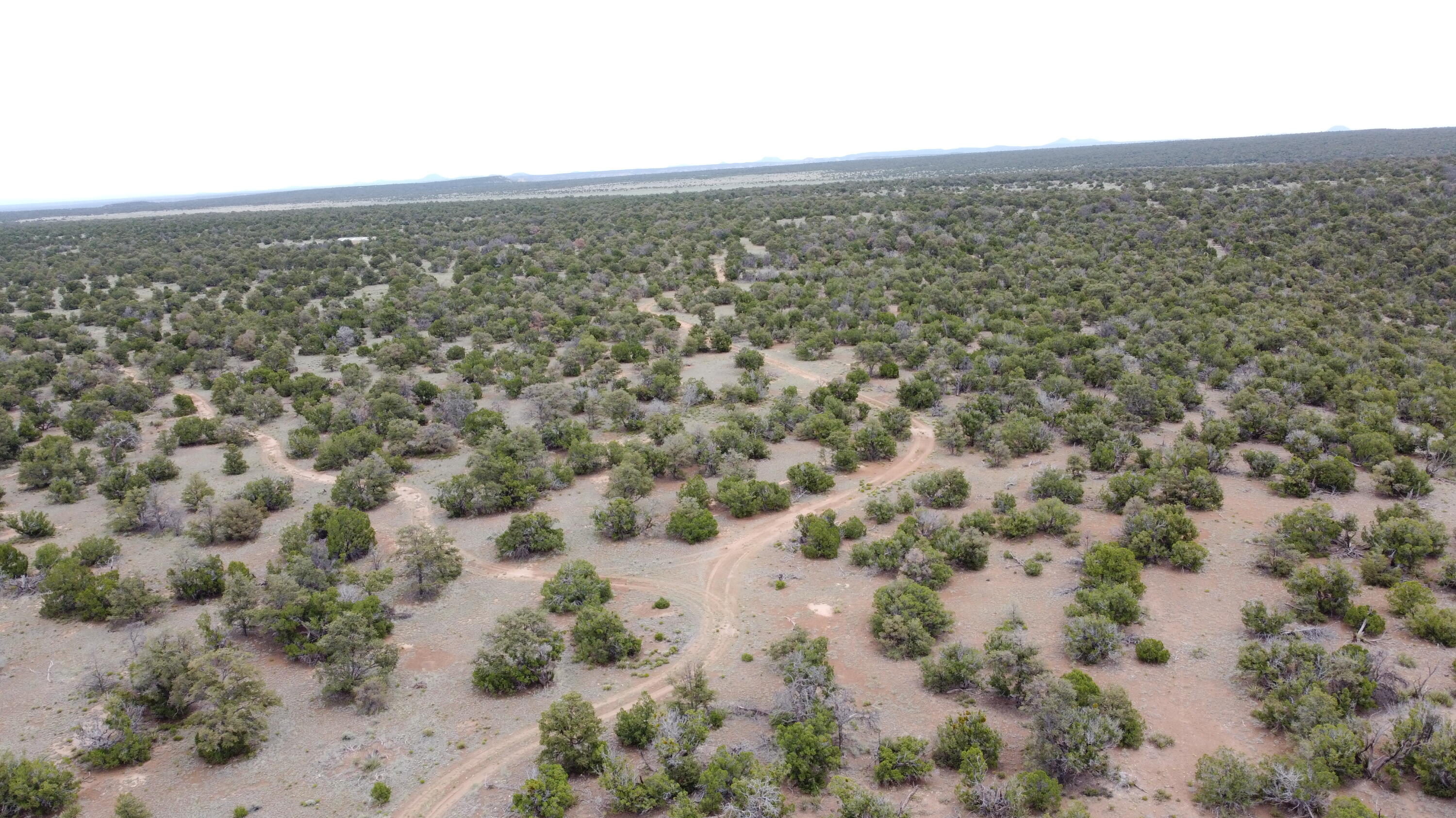 738 Moreno Hill Road, Fence Lake, New Mexico image 44