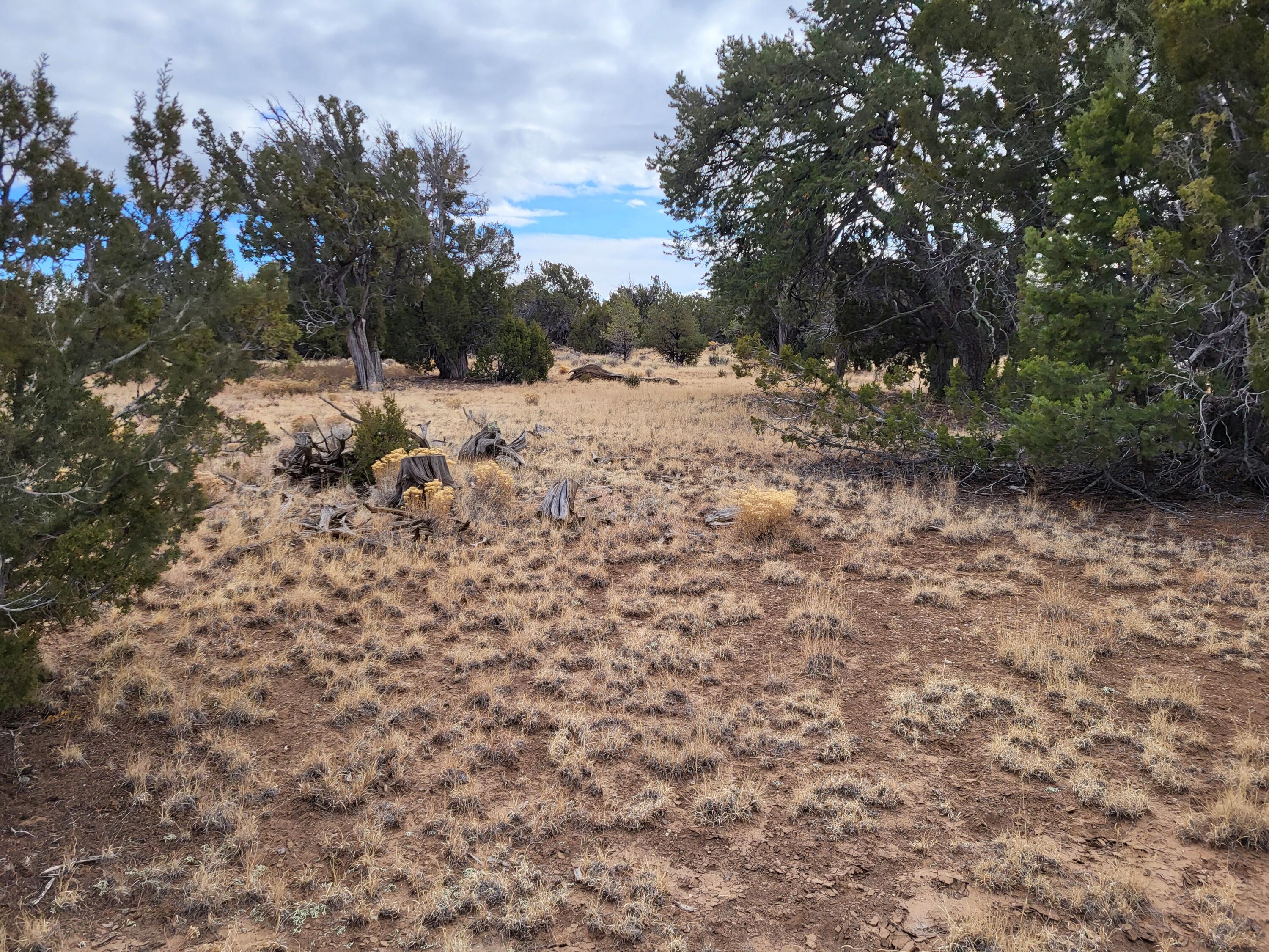 738 Moreno Hill Road, Fence Lake, New Mexico image 32