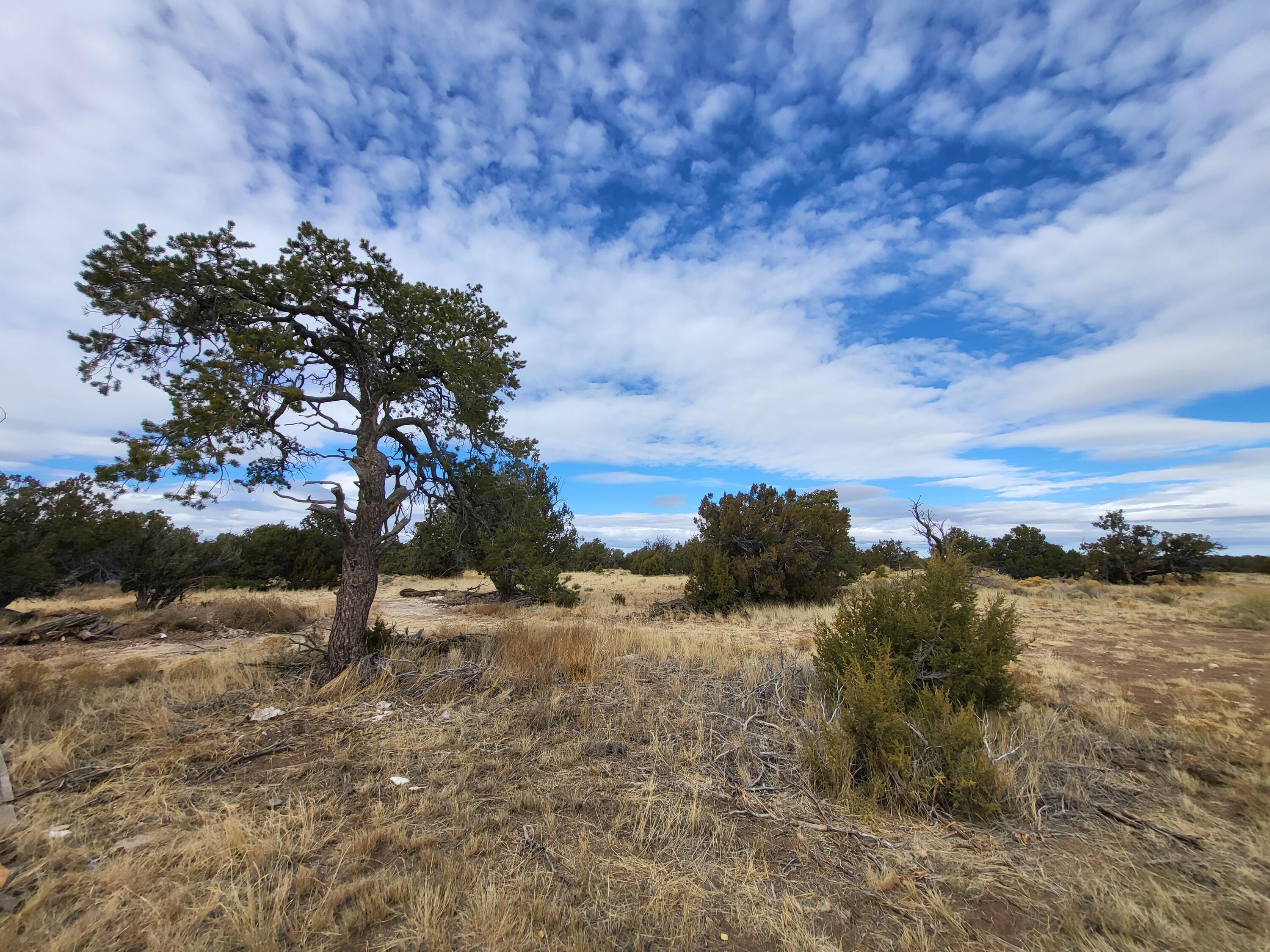 738 Moreno Hill Road, Fence Lake, New Mexico image 26