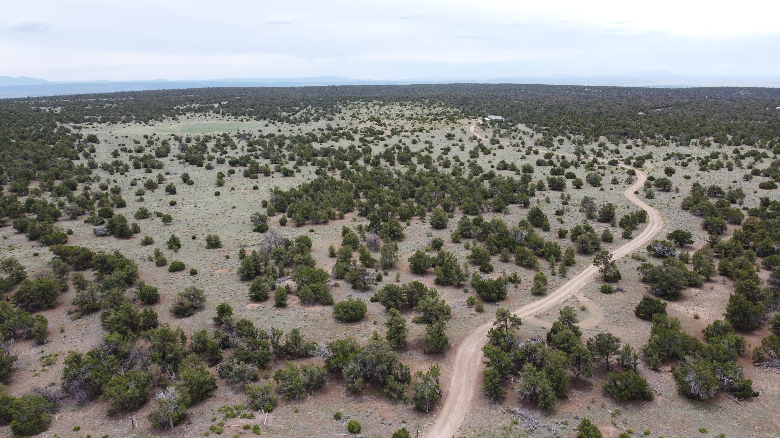 738 Moreno Hill Road, Fence Lake, New Mexico image 40