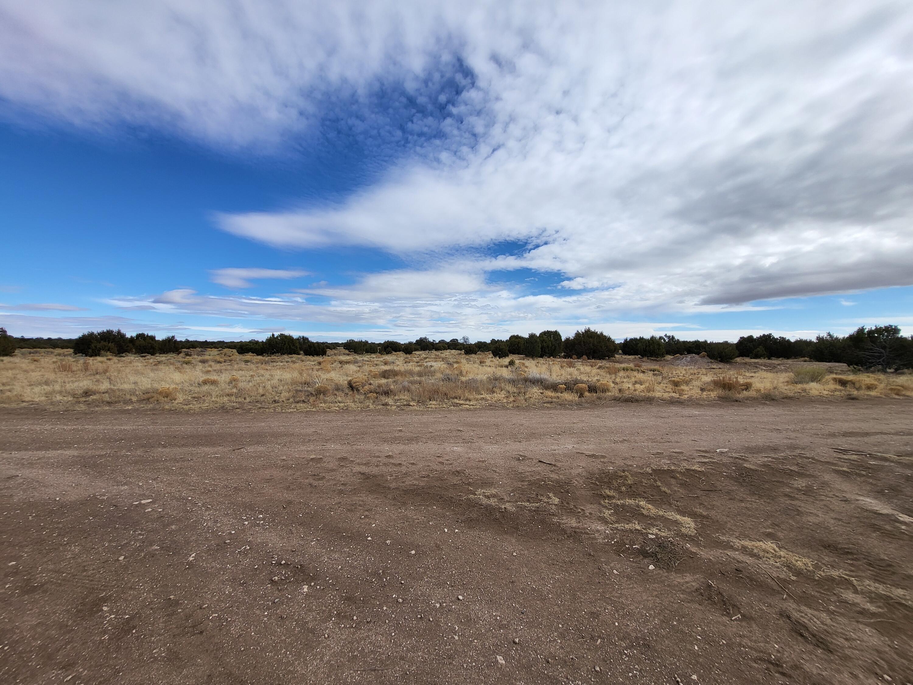 738 Moreno Hill Road, Fence Lake, New Mexico image 25