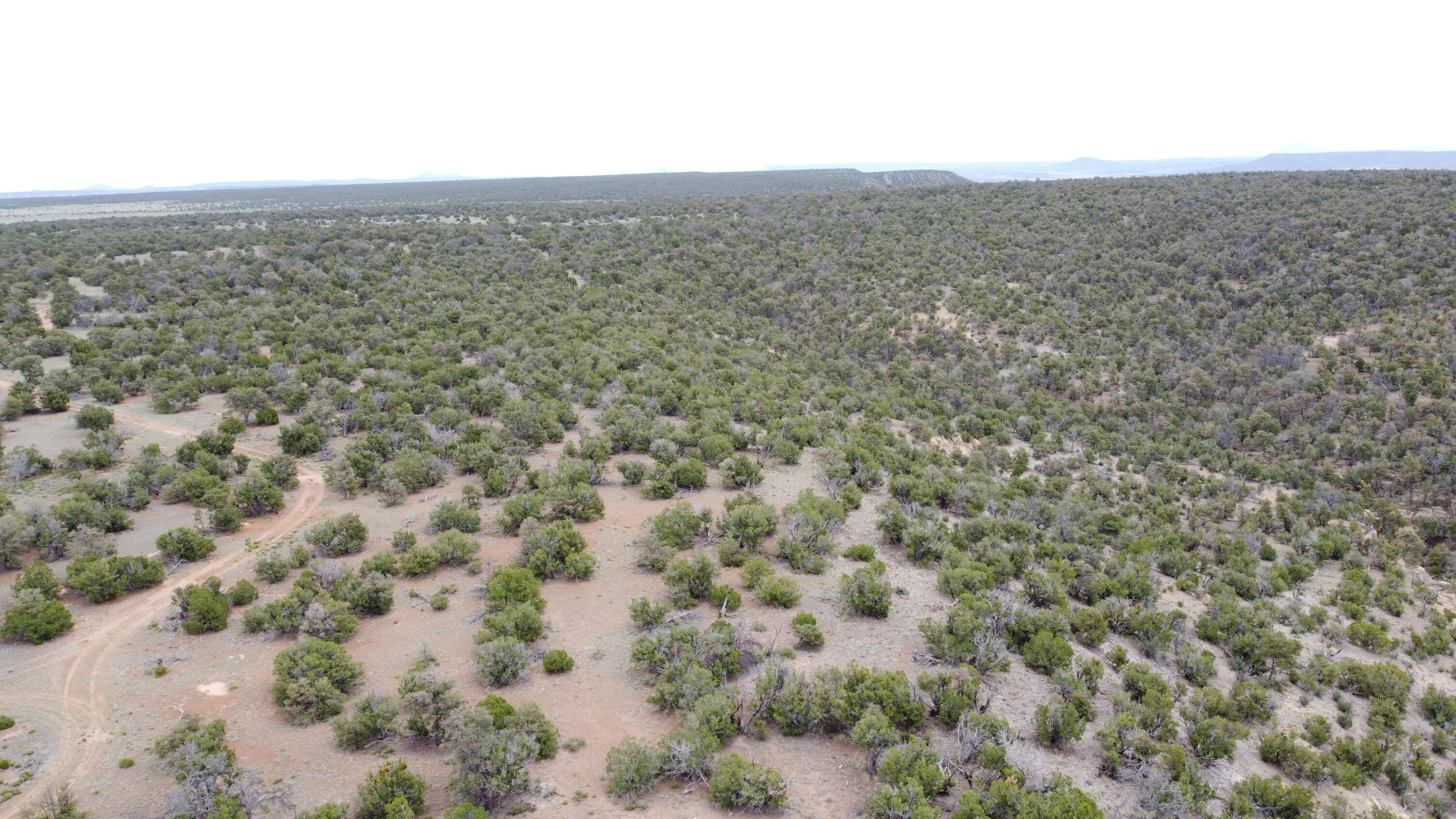 738 Moreno Hill Road, Fence Lake, New Mexico image 45