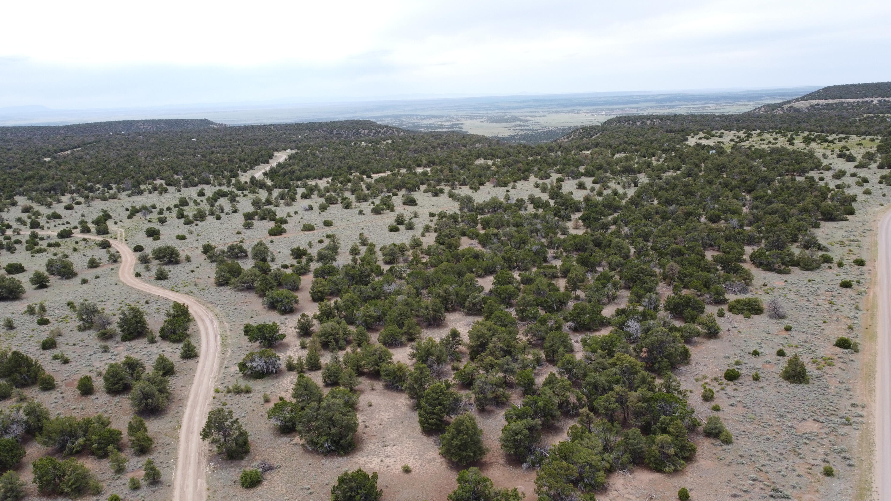 738 Moreno Hill Road, Fence Lake, New Mexico image 50