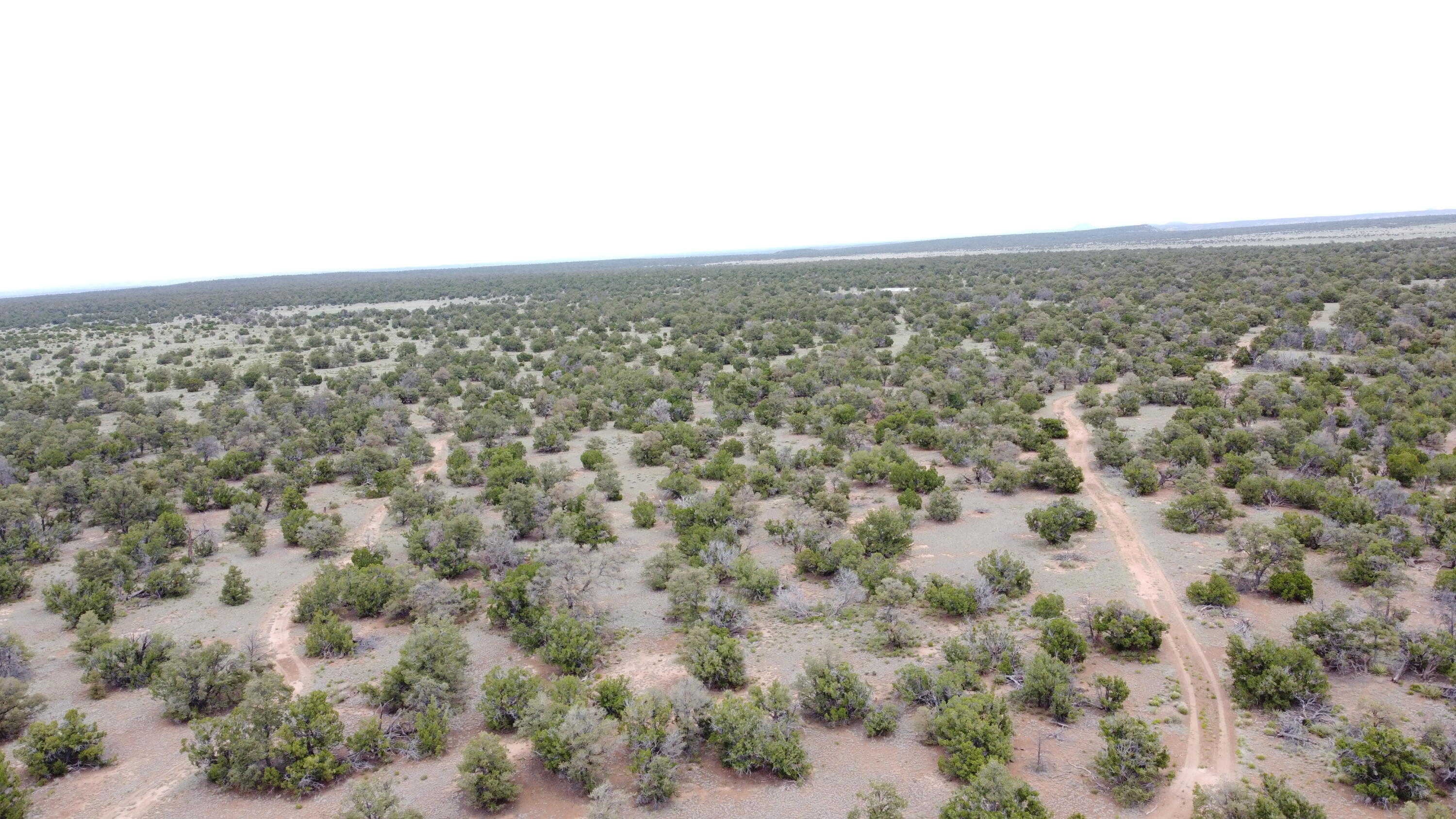 738 Moreno Hill Road, Fence Lake, New Mexico image 48