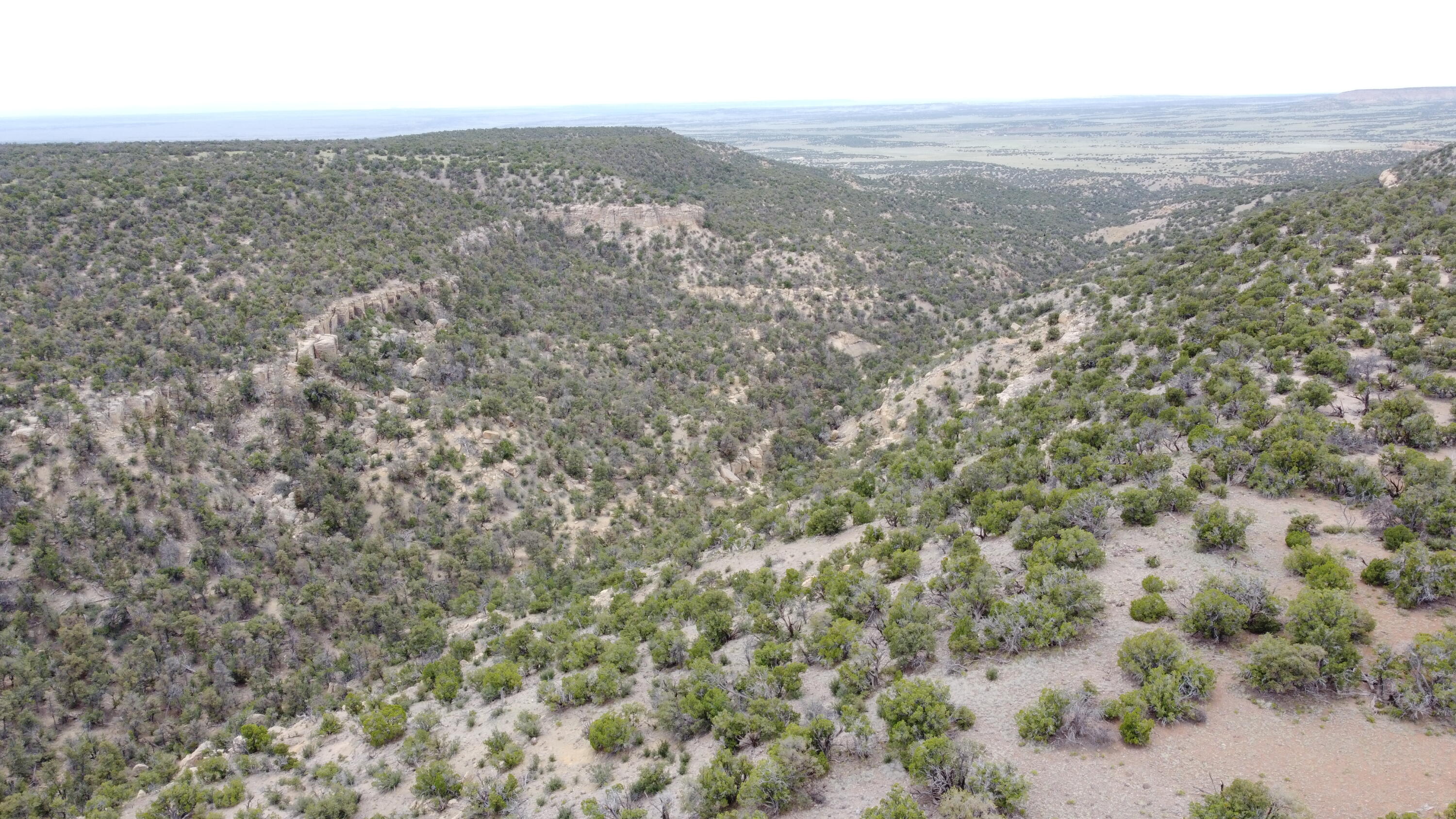 738 Moreno Hill Road, Fence Lake, New Mexico image 47